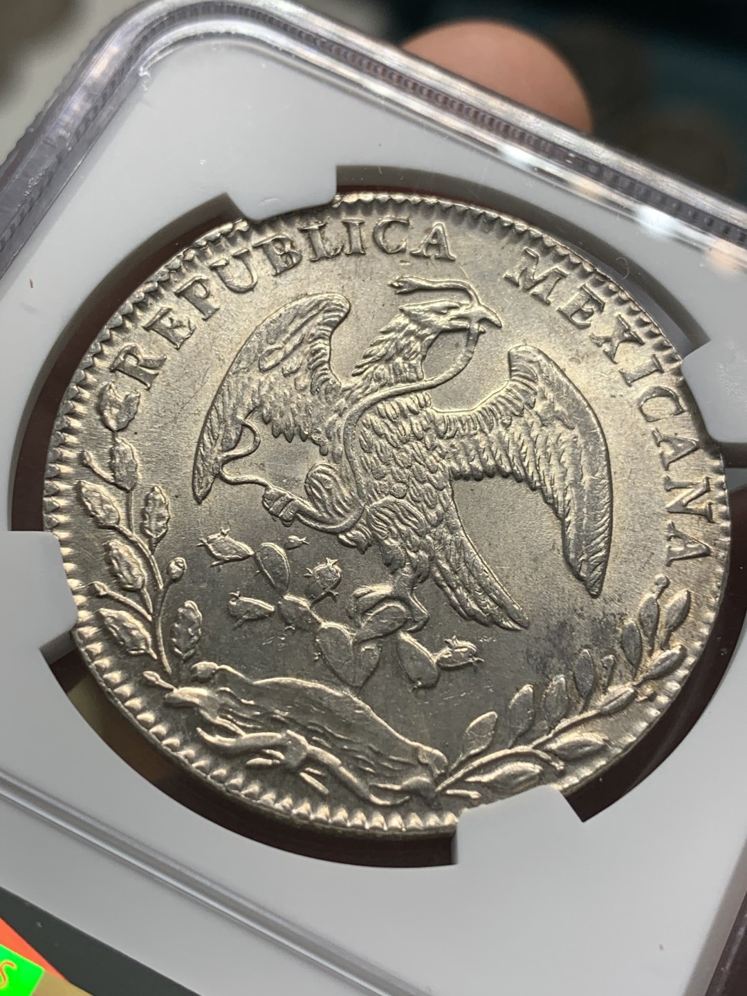 《竞宝斋》第93场-本周日，周一2场连拍（全场不限金额包邮） NGC MS62  墨西哥 1884年GO 版 8R 鹰洋 大银币 状态细节都很好 羽毛全