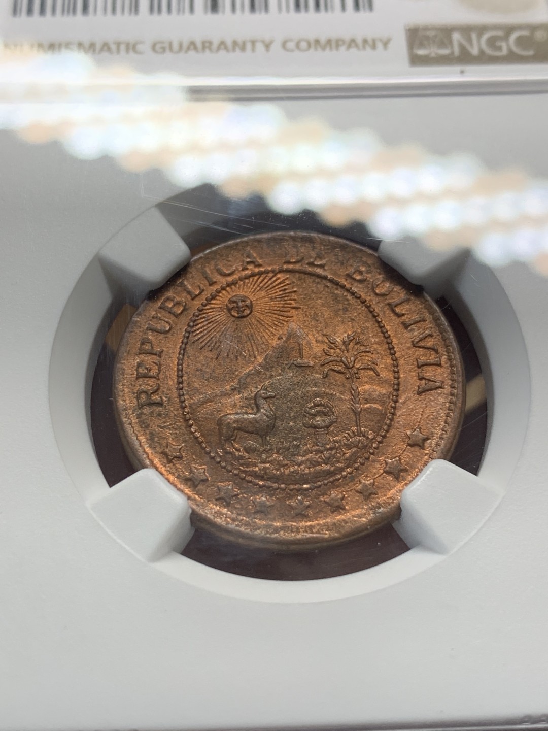 《竞宝斋》第93场-本周日，周一2场连拍（全场不限金额包邮） NGC-MS65 玻利维亚 1942年 草泥马和大山 50分铜币 顶级品相 其它见图