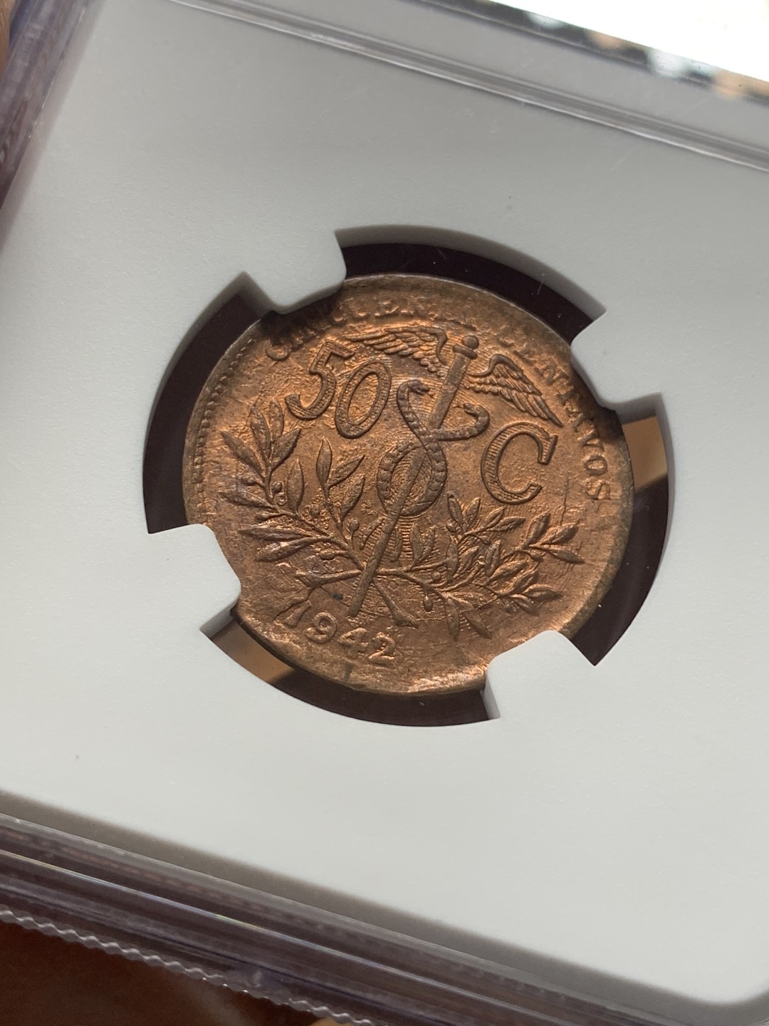 《竞宝斋》第93场-本周日，周一2场连拍（全场不限金额包邮） NGC-MS65 玻利维亚 1942年 草泥马和大山 50分铜币 顶级品相 其它见图