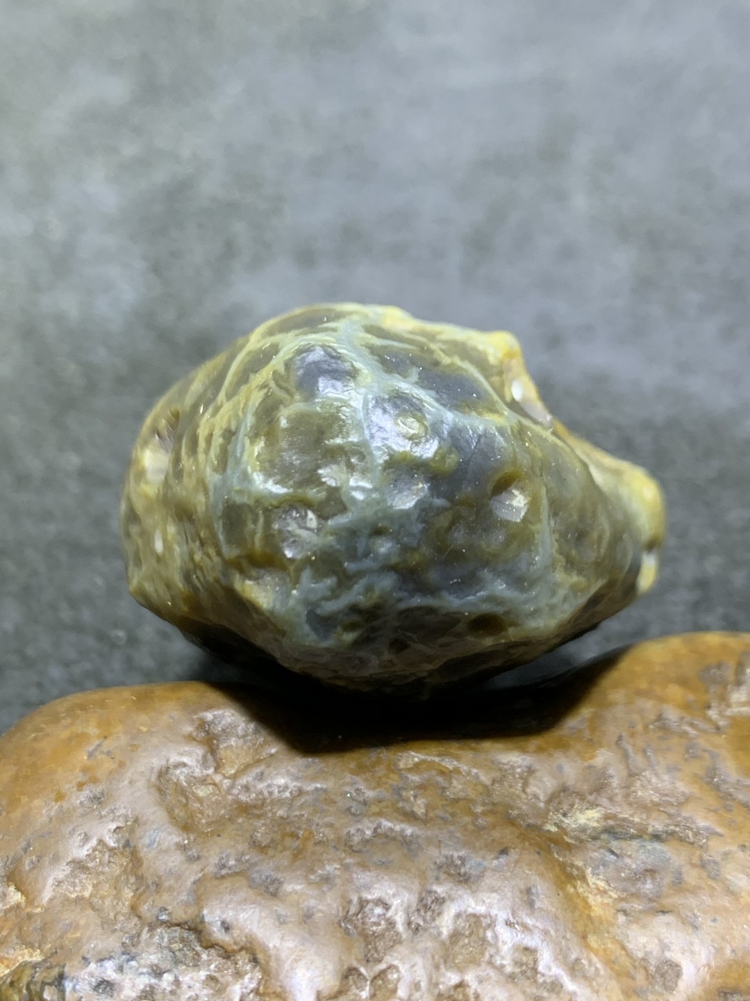 精美阿拉善高玉化蜂窝筋脉石原石一颗，
