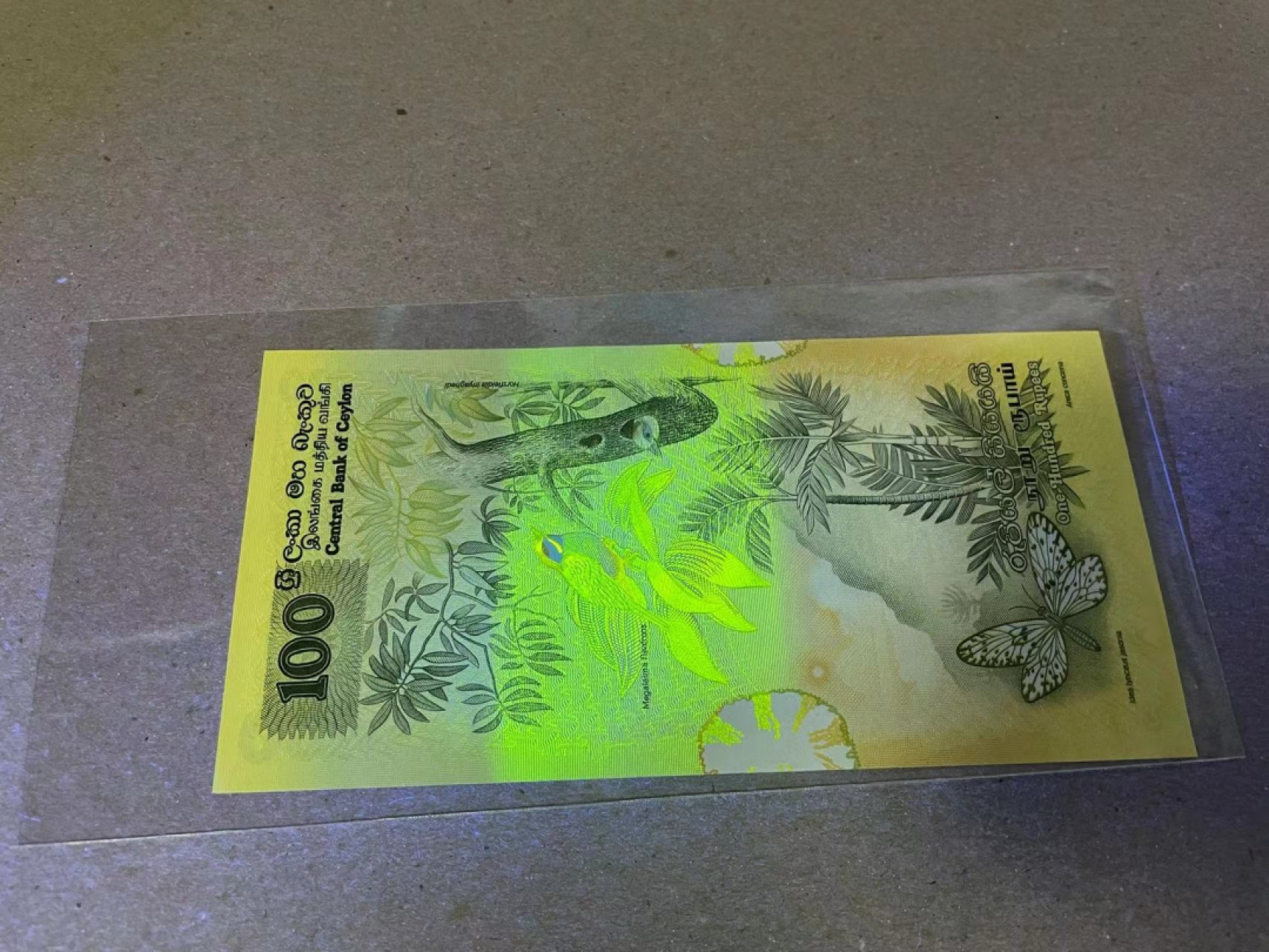 【Blue Auction】✨世界纸币精拍第222期 ——冠军舍那 斯里兰卡 1979年100卢比 大金鸟 全新UNC