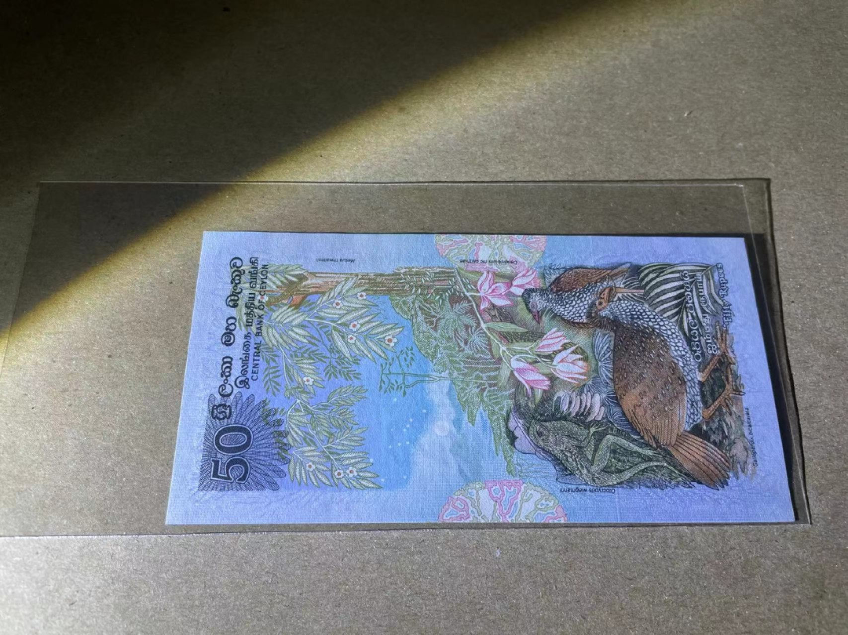 【Blue Auction】✨世界纸币精拍第222期 ——冠军舍那 【无47】斯里兰卡 1979年50卢比 全新UNC