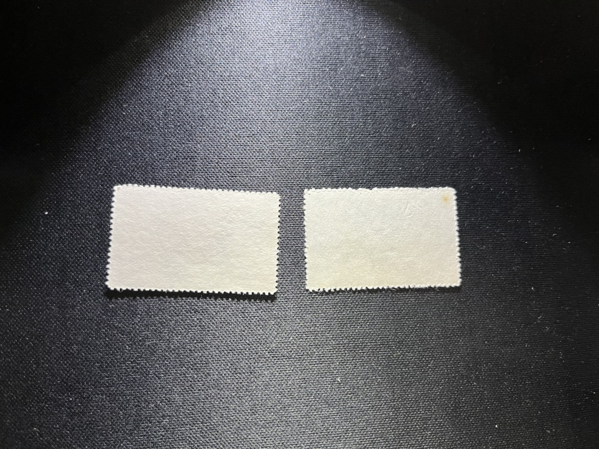 洪涛臻品 精选邮票限时拍卖第二十期 纪21新全 上品，黄点，别无瑕疵