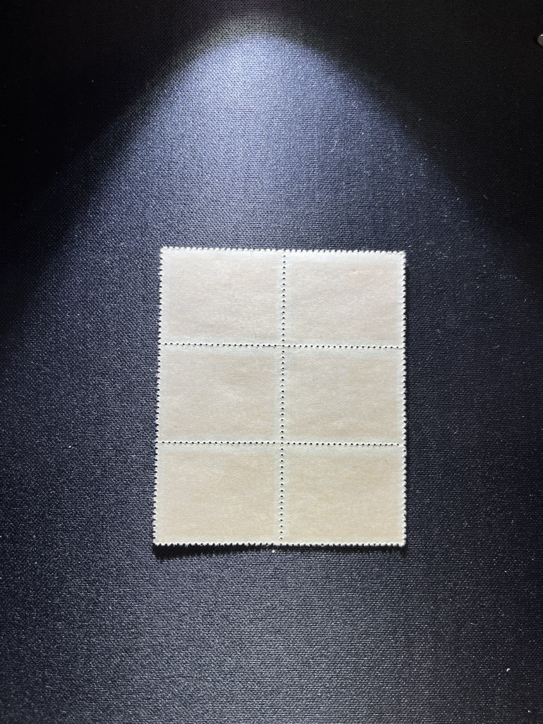 洪涛臻品 精选邮票限时拍卖第二十期 1949年发行的进军图邮票70元，版撕6方连一组，进军图纸张薄，多数都有折痕，全品无折痕的非常少，注意捡漏，所有拍品包过灯，全品可评级，注意捡漏