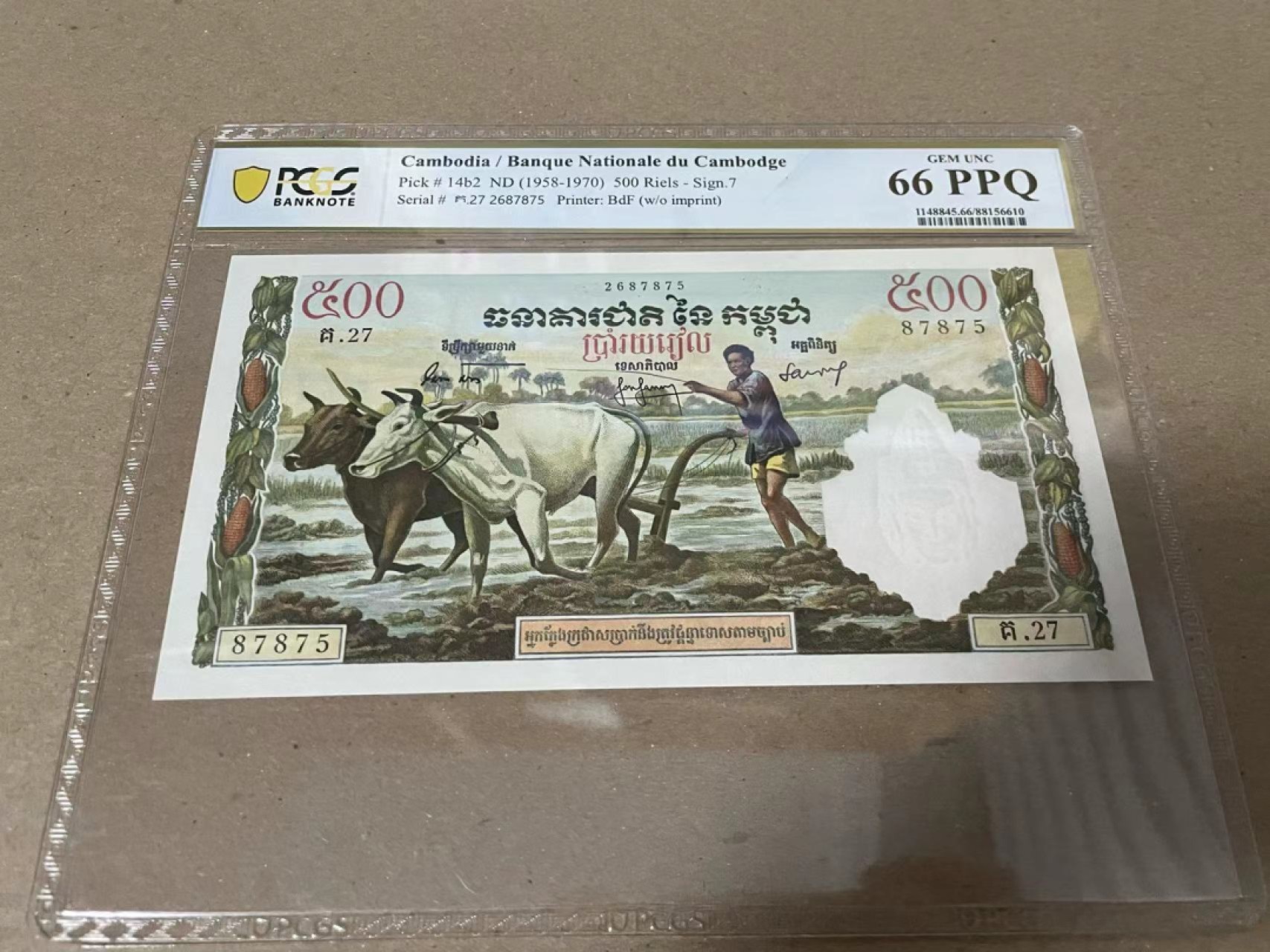 【Blue Auction】✨世界纸币精拍第222期 ——冠军舍那 柬埔寨 p14b2 1958-70年500瑞尔 PCGS66EPQ 耕牛 精美