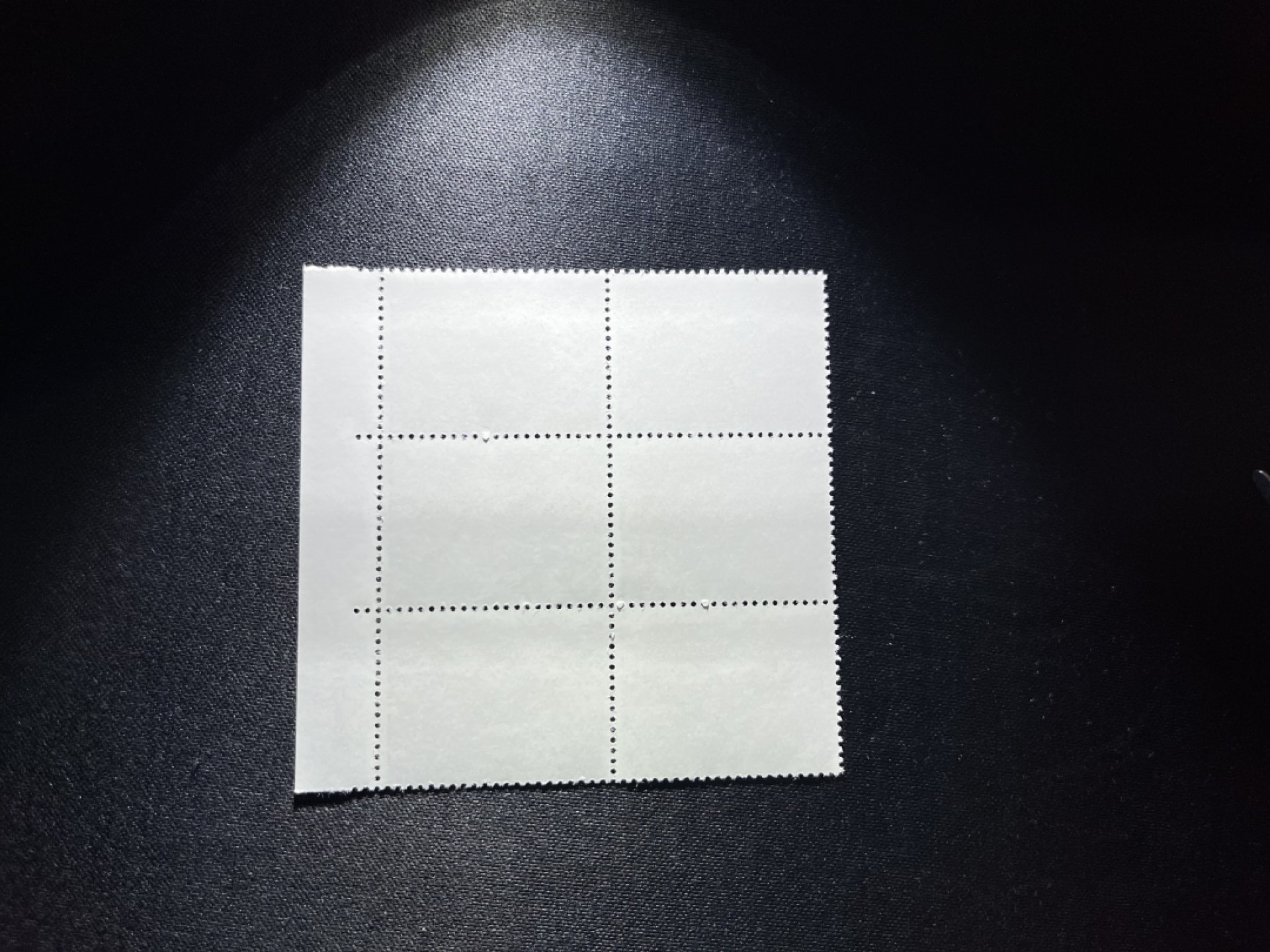 洪涛臻品 精品邮票限时拍卖第二十一期 编号N11  22分巴黎公社新，厂名，6方连一组，收藏级品相，三俗稀缺，拍照光线不好，无任何发黄，编号精品，普通全品好买，版撕全品不好碰，齿孔新，全品可评级，所有拍品包过灯，注意捡漏