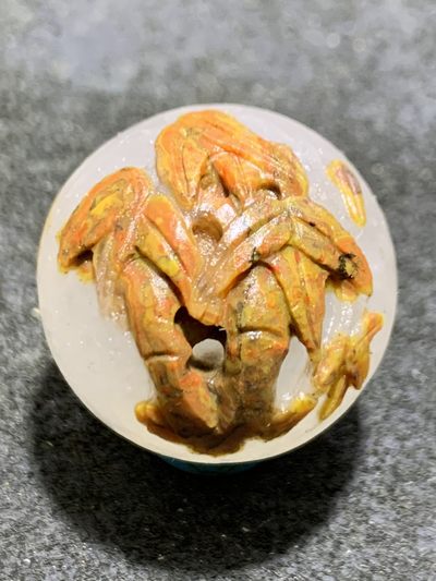精美亚光冰飘战国红玛瑙雕刻竹子珠一颗！寓意：节节高升， - 精美亚光冰飘战国红玛瑙雕刻竹子珠一颗！寓意：节节高升，