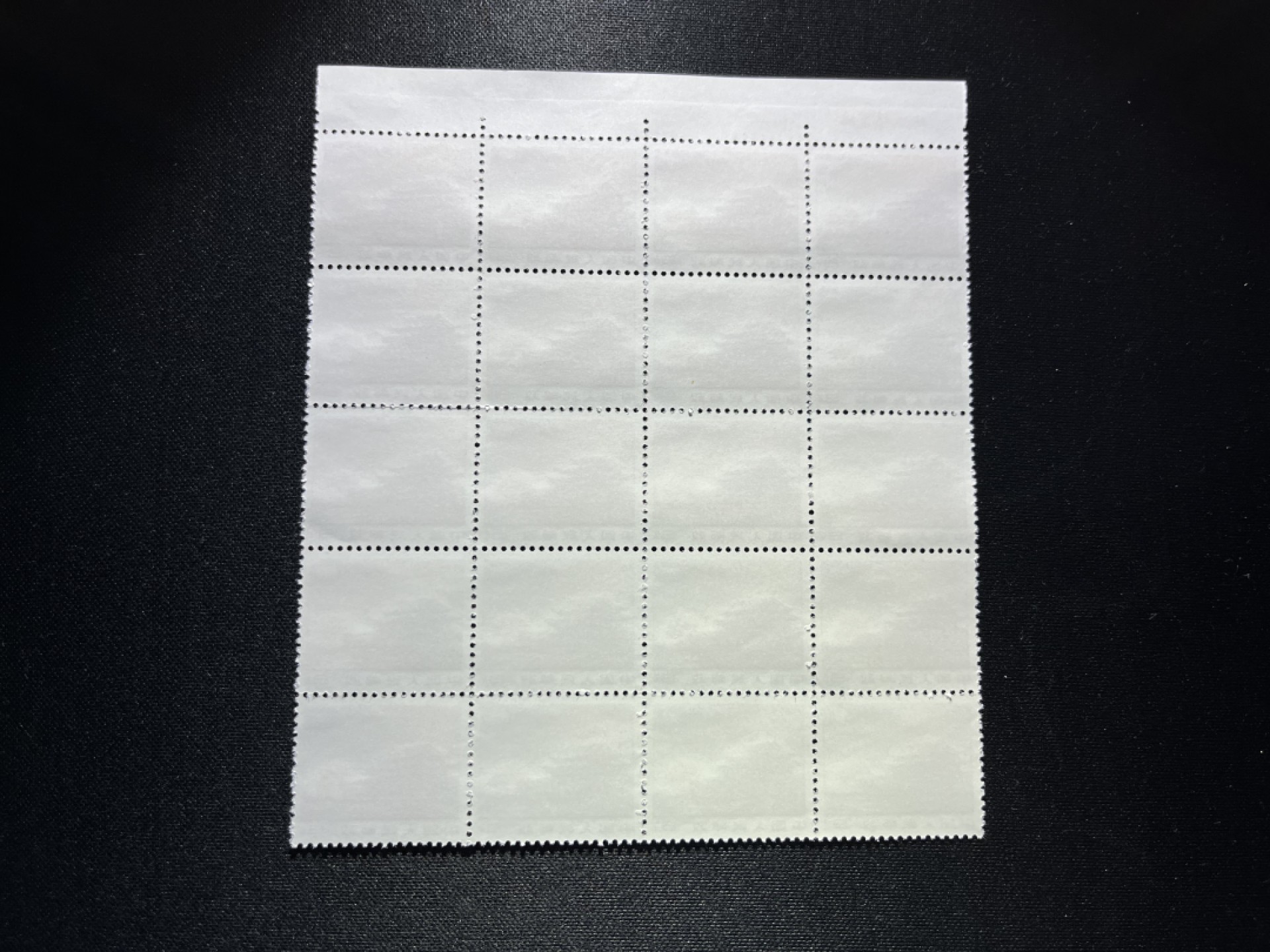 洪涛臻品 精品邮票限时拍卖第二十一期 普无号  8分天安门红太阳，厂名，左右双数字20方连，收藏级品相一组，三俗稀缺，版撕嘎嘎绝，红色图案非常漂亮，正红背白，集邮册中必不可少的一组，版撕精品小票，多多益善，价值洼地，全品可评级，所有拍品包过灯，注意捡漏