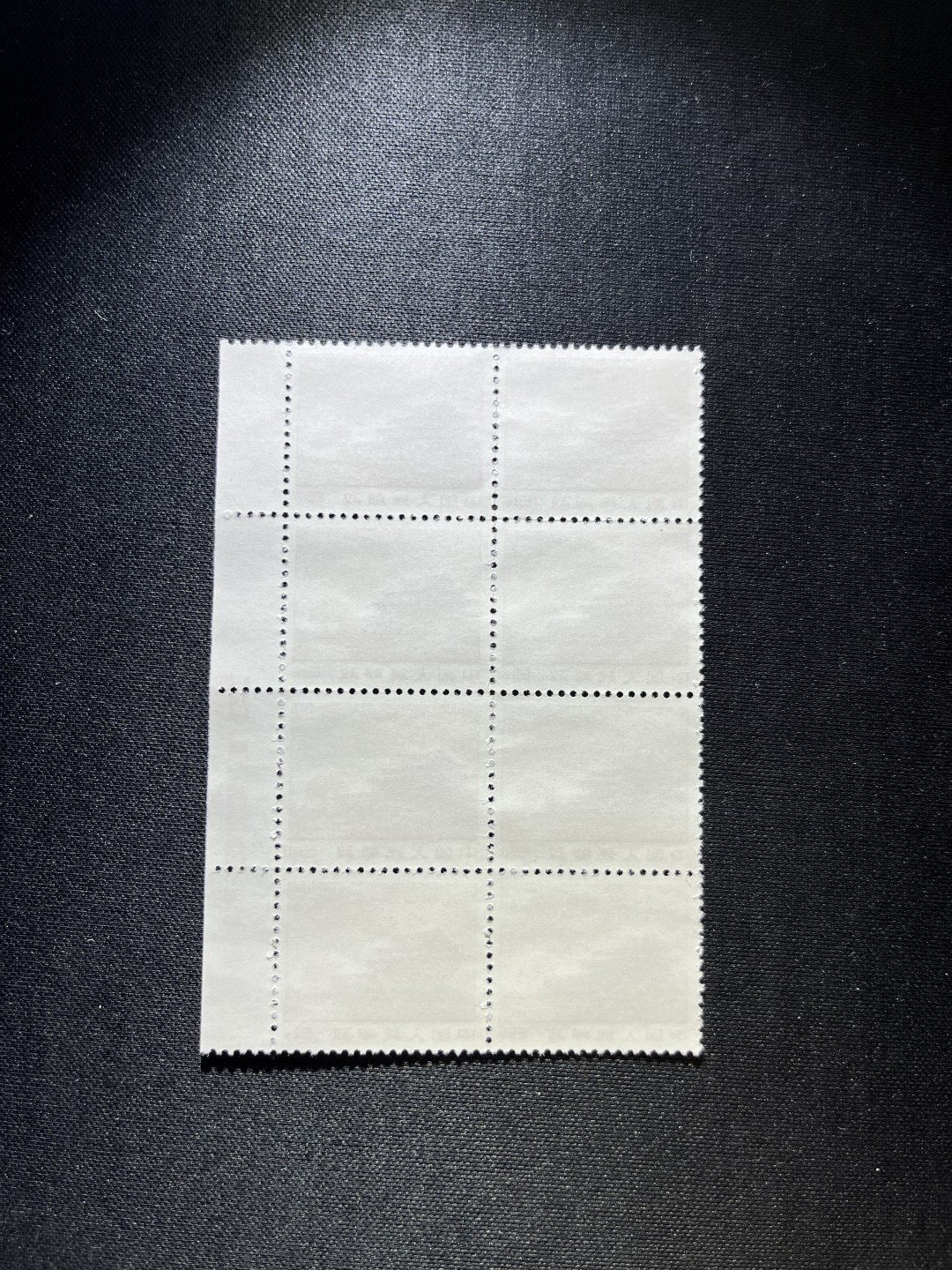 洪涛臻品 精选邮票限时拍卖第二十二期 普无号  8分天安门红太阳，右边纸，纯红色标，8方连，收藏级品相一组，版撕嘎嘎绝，红色图案非常漂亮，正红背白，集邮册中必不可少的一组，版撕精品小票，多多益善，价值洼地，全品可评级，所有拍品包过灯，注意捡漏