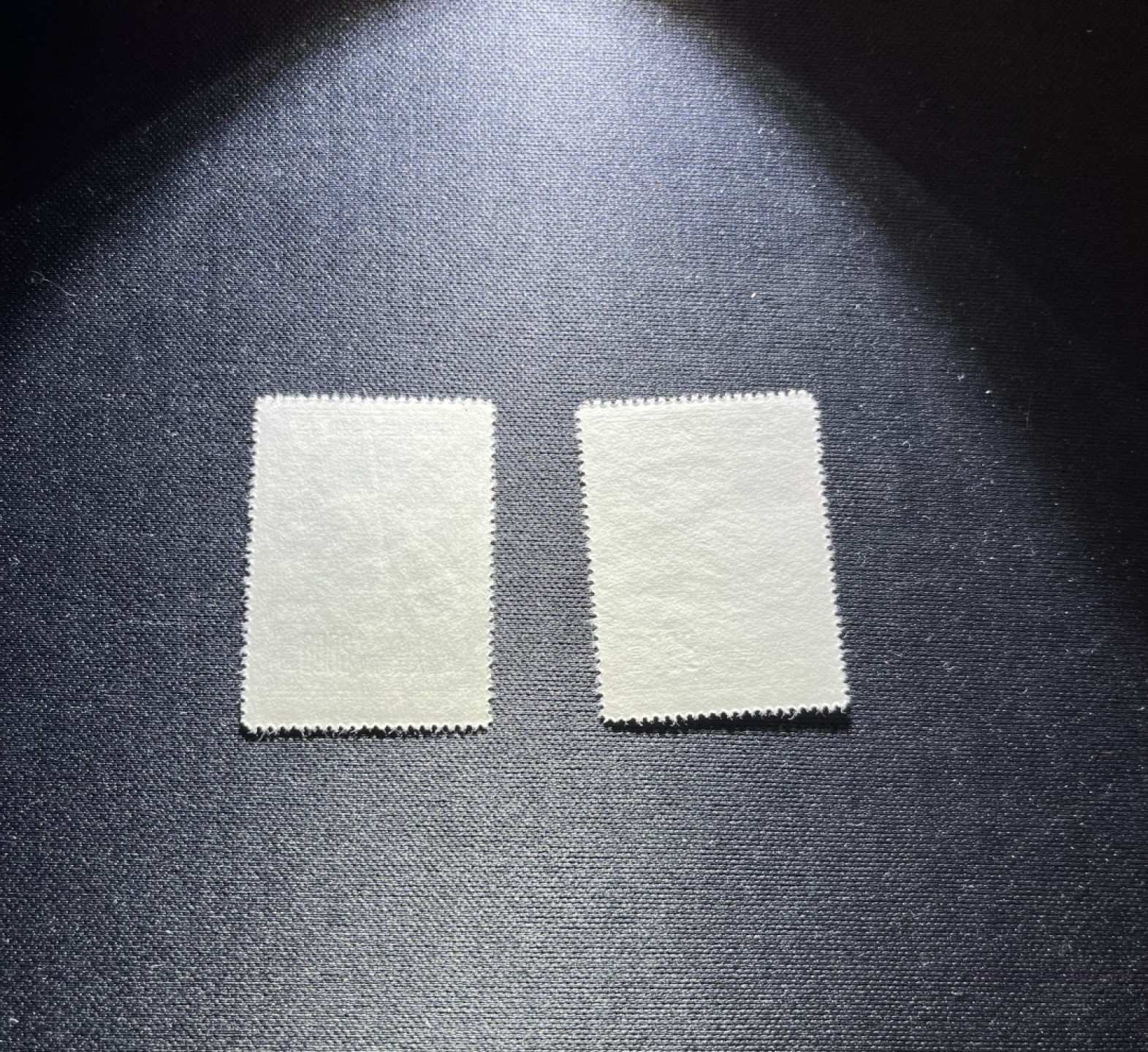 洪涛臻品 精选邮票限时拍卖第二十二期 纪5新 3-2  3-3两枚，缺3-1。版撕票，齿新且漂亮，全品，一枚轻微压痕如图，会处理的分分钟搞定，所有拍品包过灯，注意捡漏