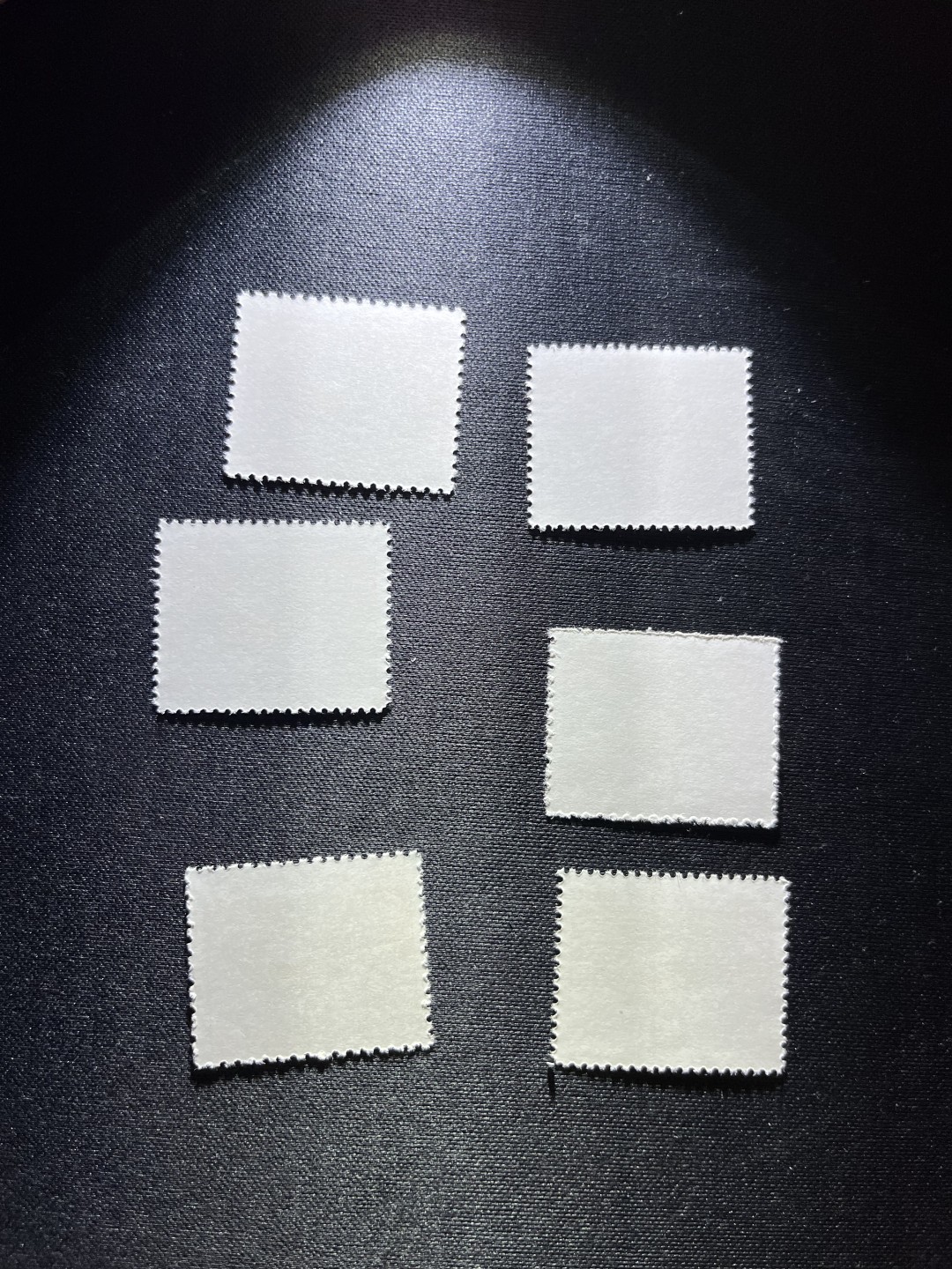 洪涛臻品 精选邮票限时拍卖第二十二期 普无号  8分工人，6枚一组，收藏级品相一组，版撕嘎嘎绝，正红背白，集邮册中必不可少的一组，版撕精品小票，多多益善，价值洼地，全品可评级，所有拍品包过灯，注意捡漏