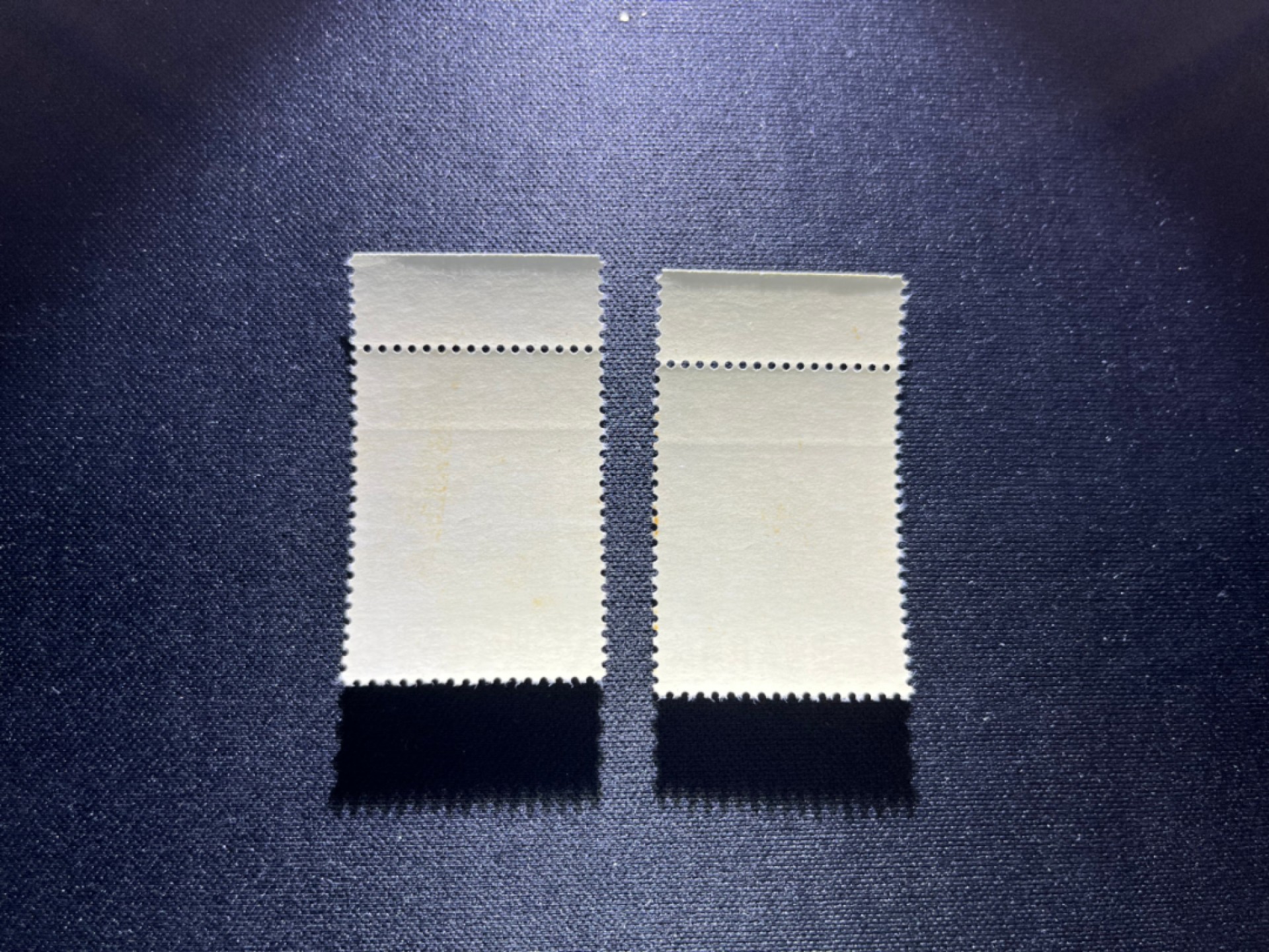 洪涛臻品 精选邮票限时拍卖第二十二期 纪91鲁迅新全2套，★版撕全品，带原始轻微压痕如图，米胶，色轻微不均匀★会处理的分分钟搞定，所有拍品包过灯，注意捡漏