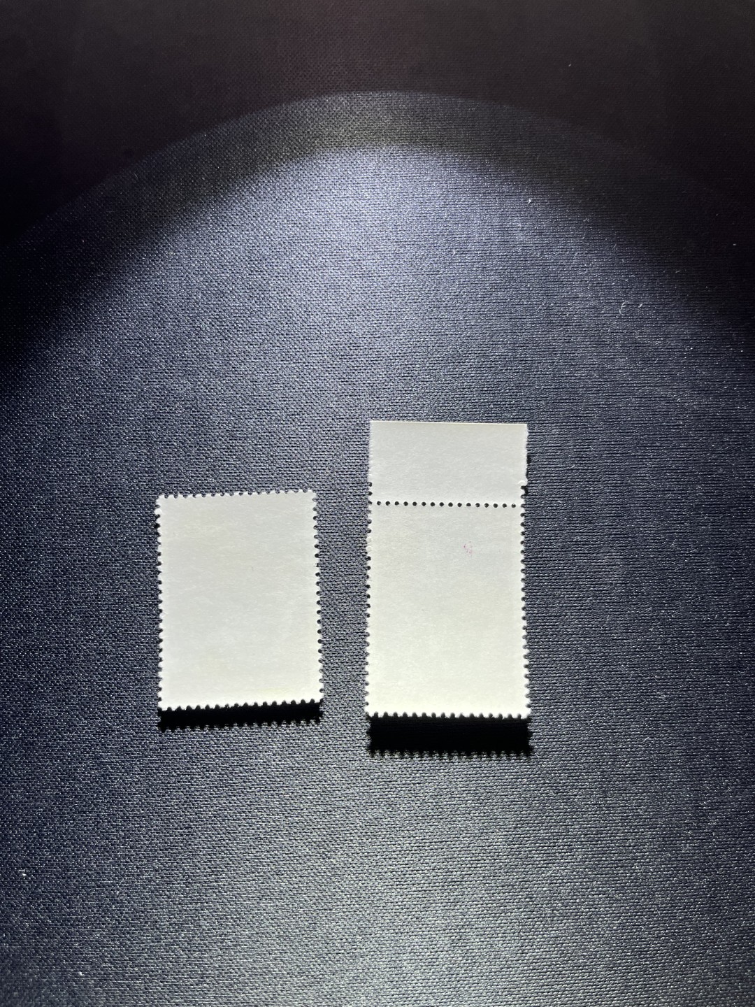 洪涛臻品 精选邮票限时拍卖第二十二期 J4阿尔巴尼亚新 2-2两枚，版撕全品，金粉极轻微触痕，一枚数字边，全品可评级，所有拍品包灯下，注意捡漏