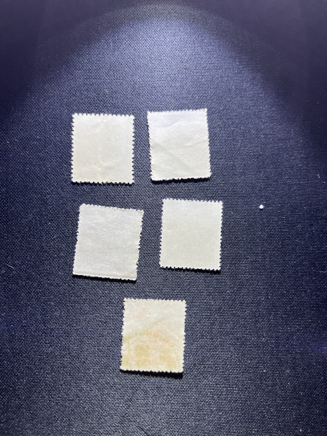 洪涛臻品 精选邮票限时拍卖第二十二期 普6邮票5枚，4枚新，1枚旧，上品