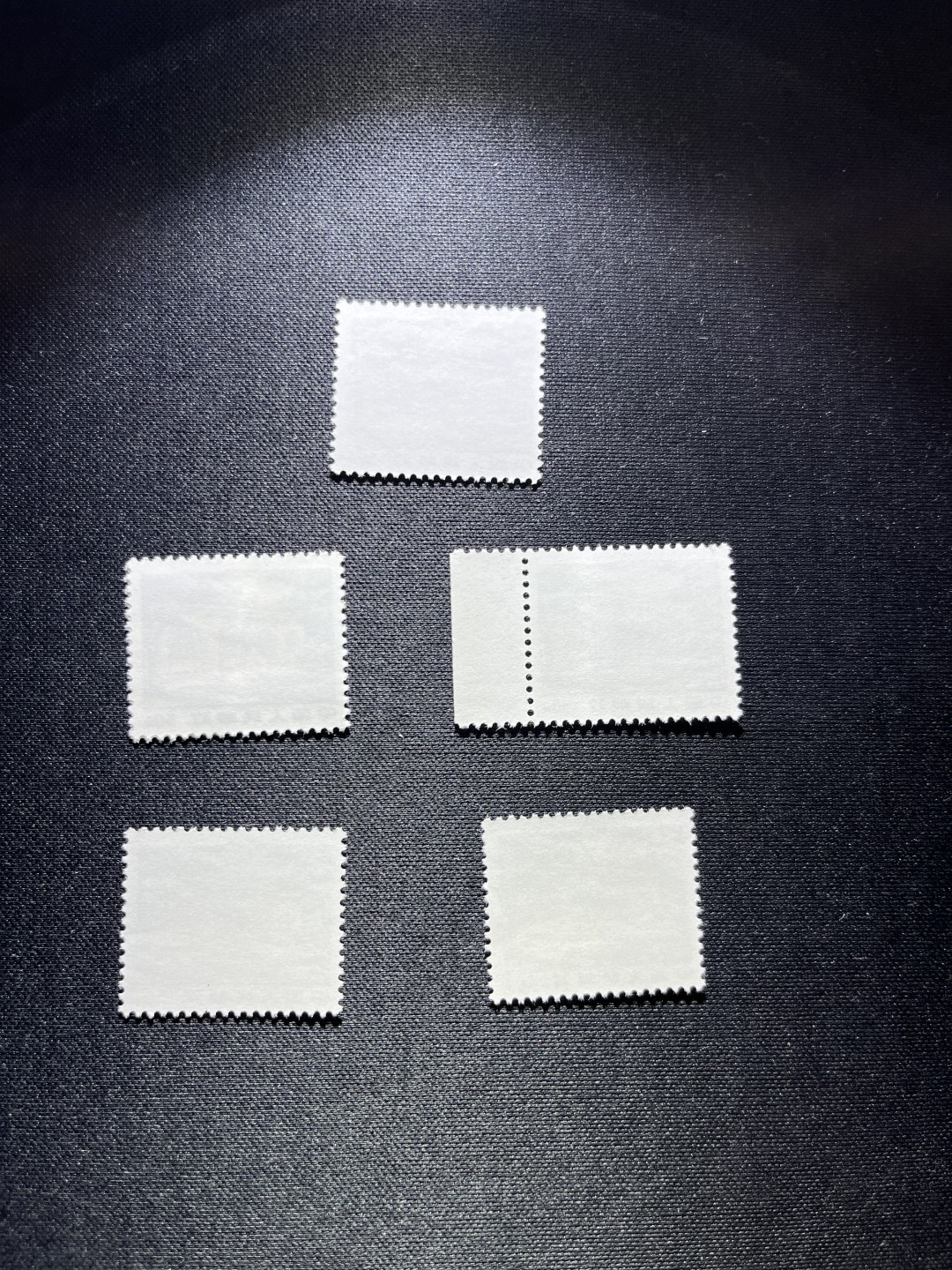 洪涛臻品 精选邮票限时拍卖第二十二期 普无号  50分枣园，6枚一组，版撕嘎嘎绝，文革期间发行的唯一一套普票，非常有特点，集邮册中不可缺少的一组，文革票人气足，潜力大，目前处于价值洼地，版撕全品可直接评级，版撕小票价格便宜，多多益善，注意捡漏