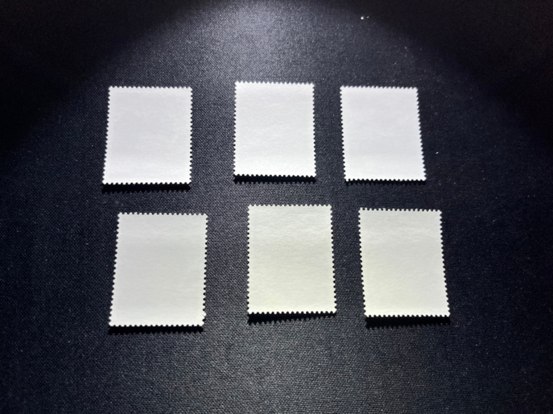 洪涛臻品 精选邮票限时拍卖第二十二期 T54荷花新 缺4-4，3枚两组共计6枚，非常漂亮的热门JT票，版撕嘎嘎绝，不是赵涌所谓的全品能比的，全品可评级，所有拍品包过灯，注意捡漏