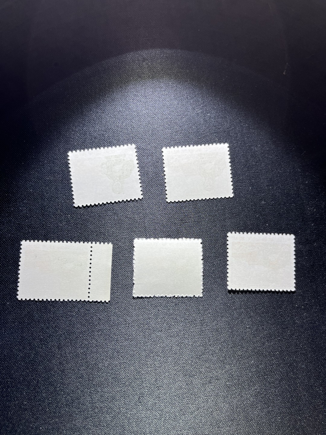 洪涛臻品 精选邮票限时拍卖第二十三期 普无号  10分解放军，5枚一组，收藏级品相一组，版撕嘎嘎绝，正红背白，集邮册中必不可少的一组，版撕精品小票，多多益善，价值洼地，全品可评级，所有拍品包过灯，注意捡漏
