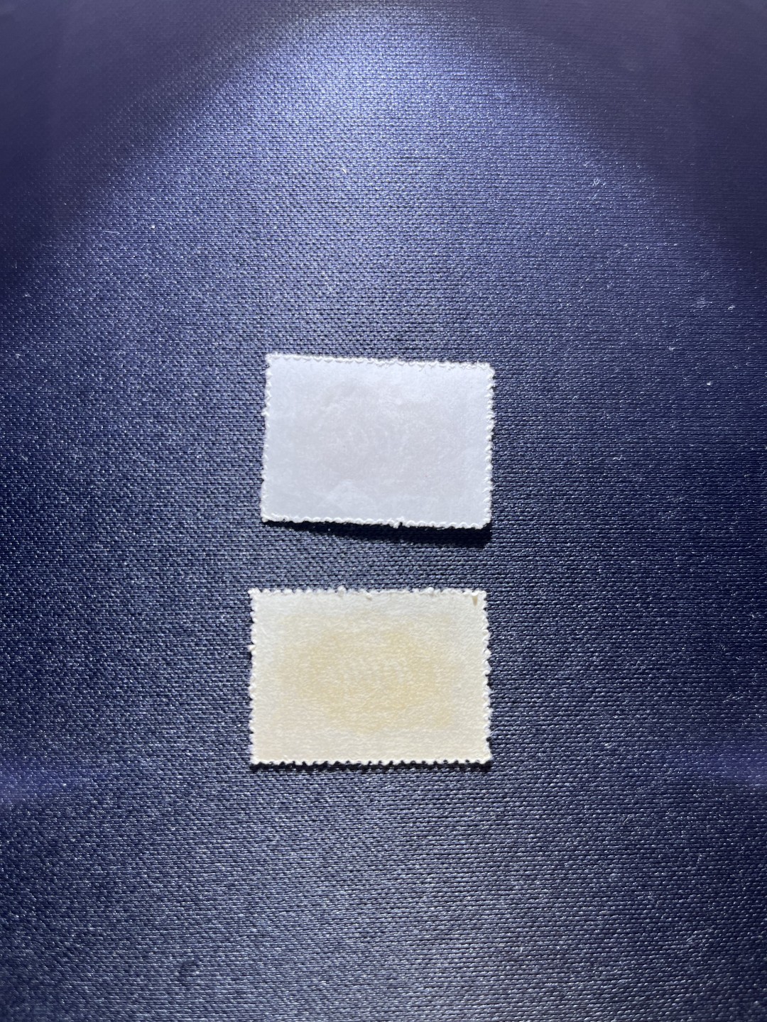 洪涛臻品 精选邮票限时拍卖第二十三期 新中国欠资邮票2枚，上品，票面比较新，喜欢不要错过