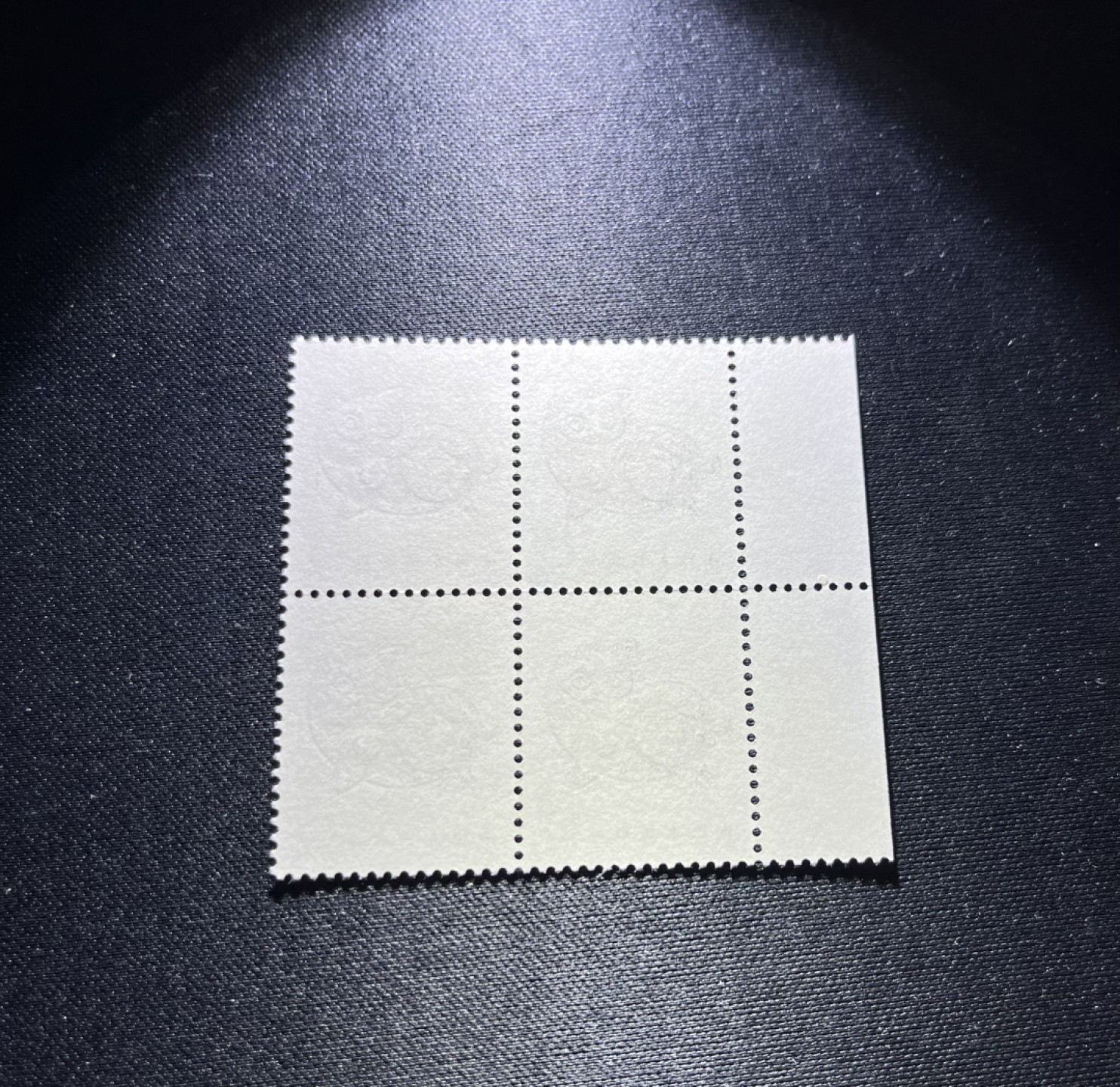洪涛臻品 精选邮票限时拍卖第二十四期 T80 红猪   厂名方连一组新，版票带硅胶手套认真撕的正经票，没有触痕。嘎嘎绝，无任何瑕疵，背面雪白，收藏首选，全品可评级，所有拍品包过灯，注意捡漏
