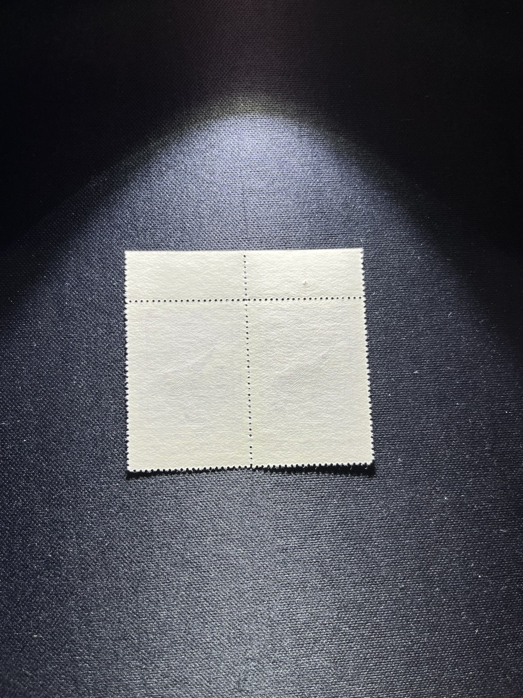 洪涛臻品 精选邮票限时拍卖第二十四期 纪26列宁新3-2 总筋  2枚，上边纸，十字线标 ★一枚总筋价值接近一套票★版撕全品嘎嘎绝，版子硬，凹凸有致，非常漂亮，真正的版撕货，带硅胶手套撕的正经货，无触痕，全品可评级，所有拍品包过灯，注意捡漏