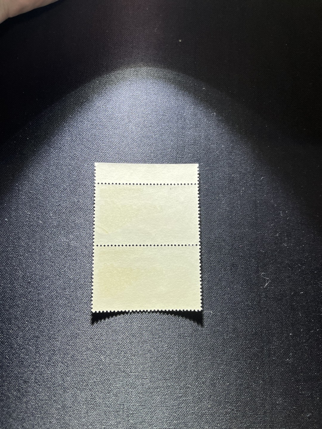 洪涛臻品 精选邮票限时拍卖第二十四期 纪104无产者联合 2-2盖销，1964年发行，竖2连带红色标一组，老纪特精品票，版撕全品嘎嘎绝，热门品种，新票价格高，盖销全品值得收藏，真正的版撕品质，撕口很新，所有拍品包过灯，全品可评级，注意捡漏