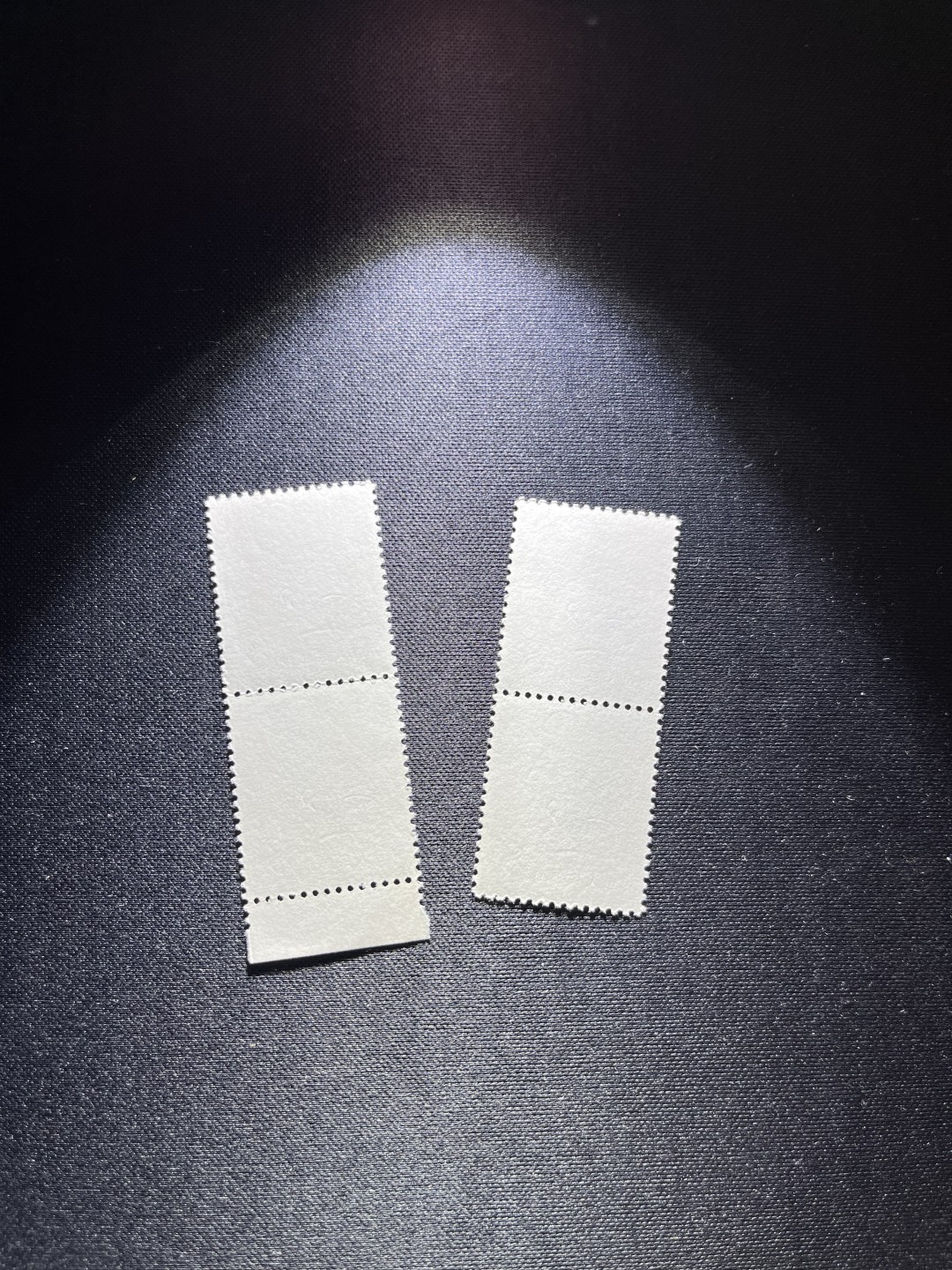 洪涛臻品 精选邮票限时拍卖第二十四期 T90 鼠   2连2组共4枚，版票带硅胶手套认真撕的正经票，没有触痕。嘎嘎绝，无任何瑕疵，背面雪白，收藏首选，全品可评级，所有拍品包过灯，注意捡漏