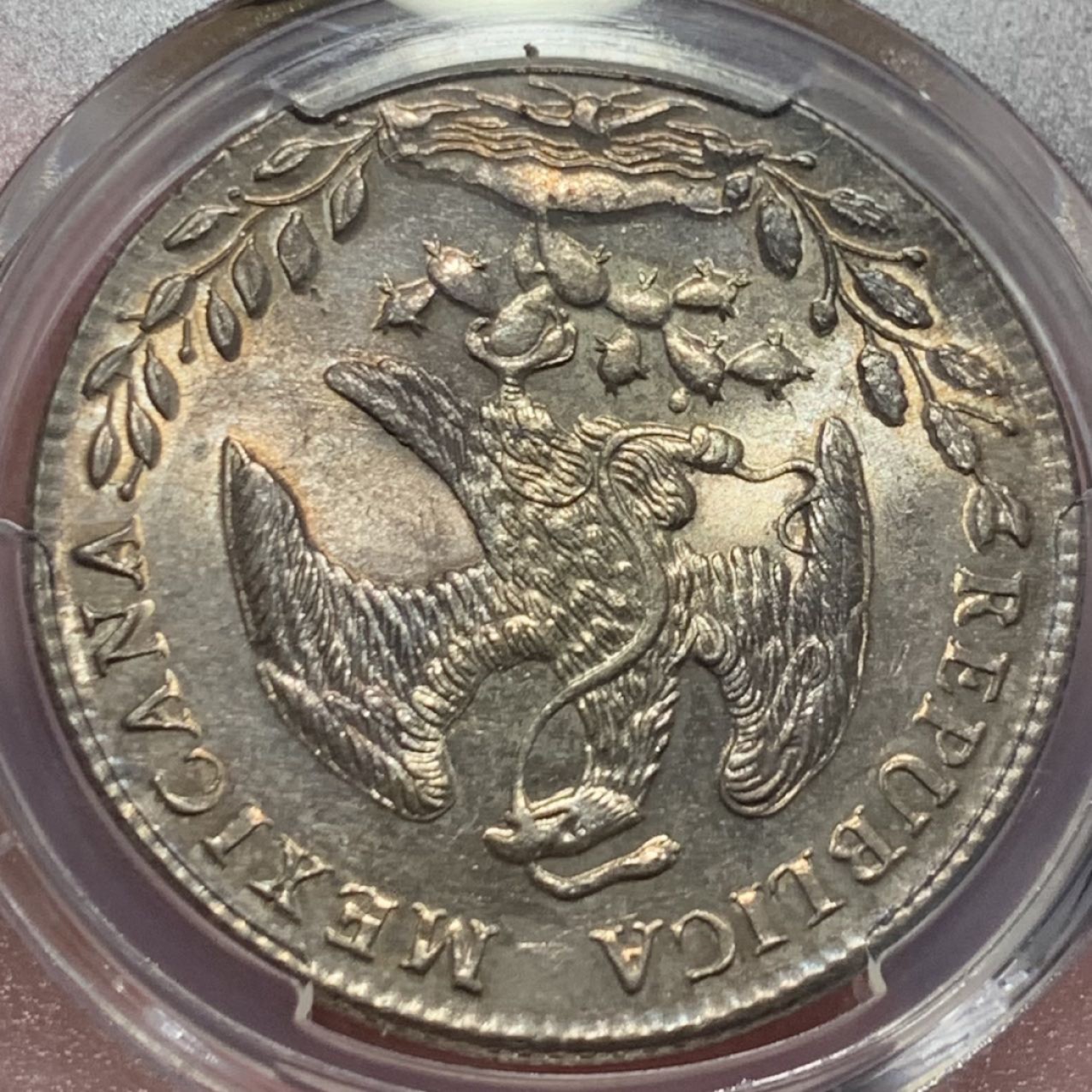 紫瑗钱币——第206期拍卖 墨西哥 1884年 GO BR 在华流通 花边鹰洋 8里亚尔 银币 PCGS MS64 五彩包浆