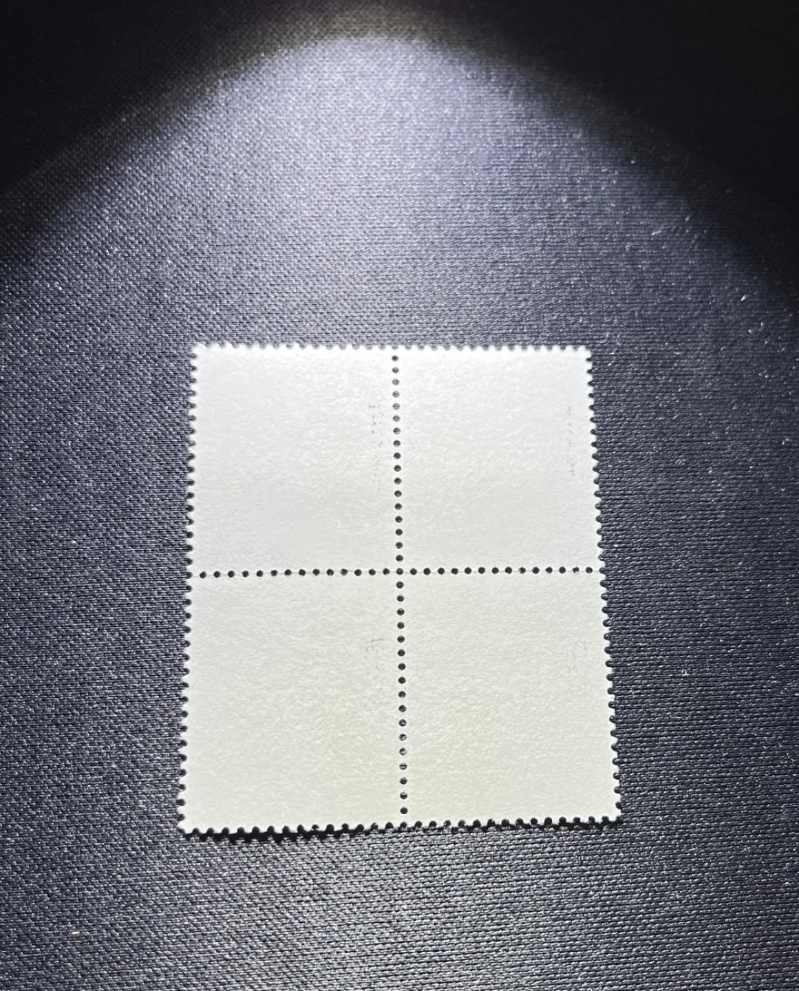 洪涛臻品 精选邮票限时拍卖第二十四期 T70 狗   方连一组新，版票带硅胶手套认真撕的正经票，没有触痕。嘎嘎绝，无任何瑕疵，背面雪白，收藏首选，全品可评级，所有拍品包过灯，注意捡漏