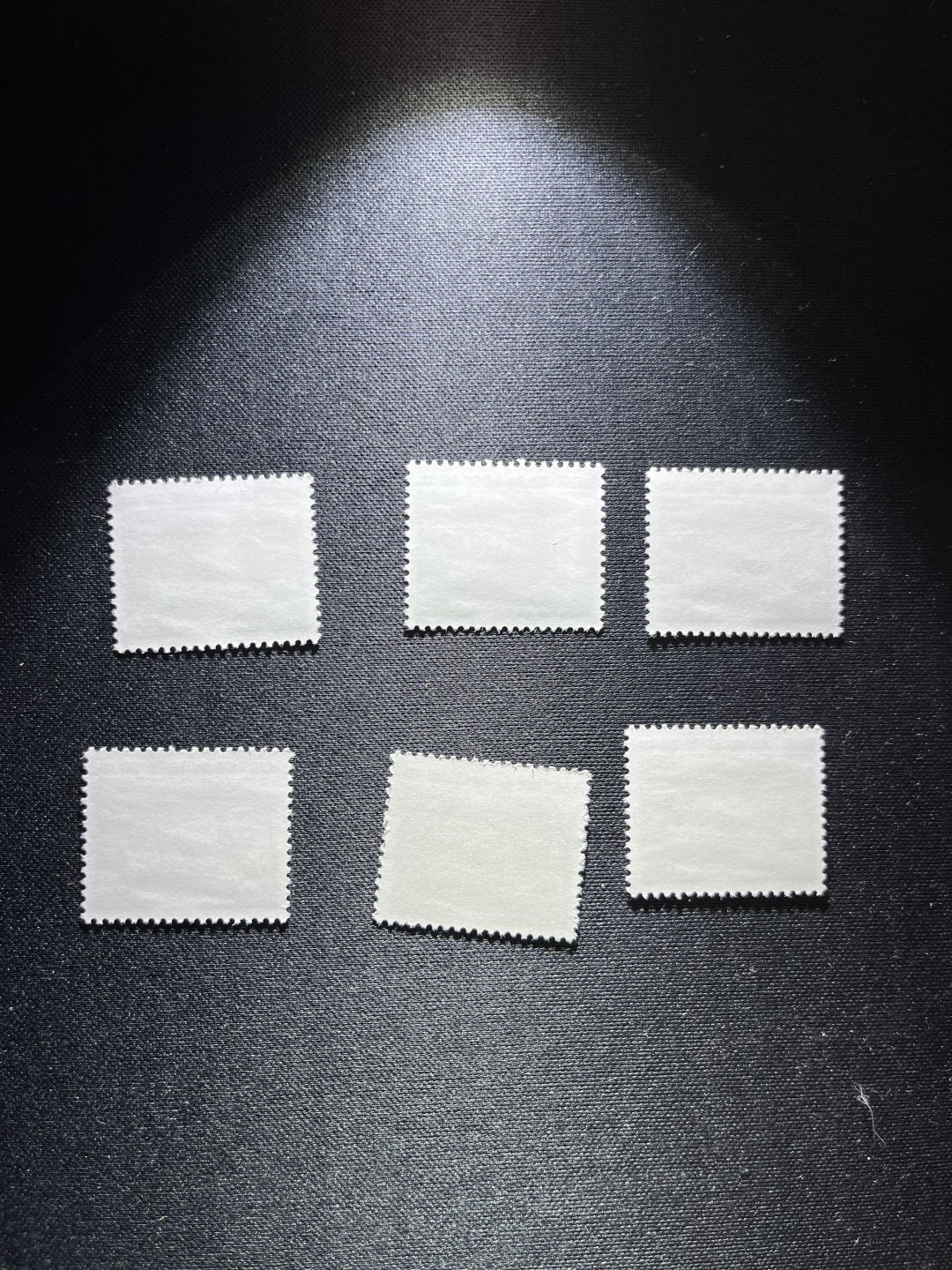 洪涛臻品 精选邮票限时拍卖第二十四期 普无号  50分枣园，6枚一组，版撕嘎嘎绝，文革期间发行的唯一一套普票，非常有特点，集邮册中不可缺少的一组，文革票人气足，潜力大，目前处于价值洼地，版撕全品可直接评级，ASG评级后备资源，注意捡漏