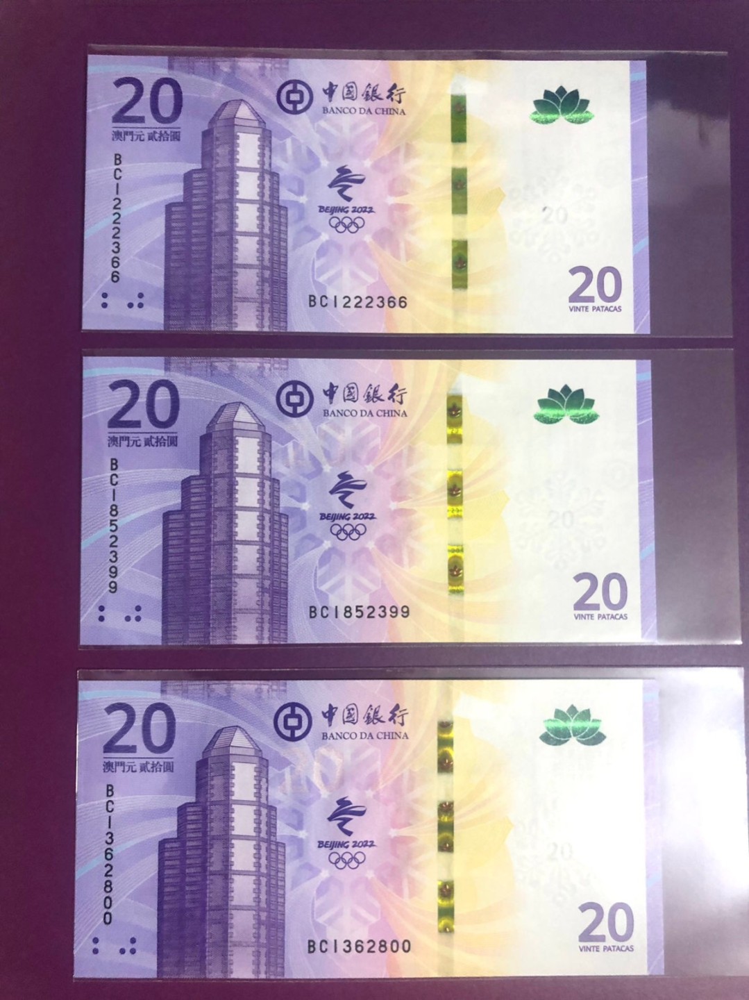 小骏钱币 澳门冬奥纪念钞双尾3张