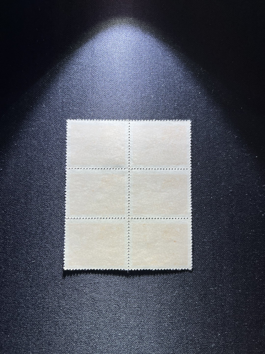 洪涛臻品 精选邮票限时拍卖第二十四期 1949年发行的进军图邮票70元，6方连一组，版撕全品，进军图纸张薄★一版也撕不出几个没有一点折痕的6方连★，多数都有折痕，全品无折痕的非常少，注意捡漏，所有拍品包过灯，ASG评级资源储备，注意捡漏