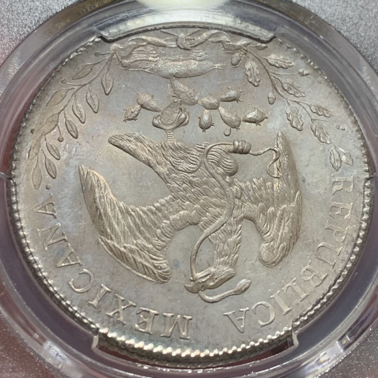 紫瑗钱币——第206期拍卖 墨西哥 1892年 ZS FZ 在华流通 花边鹰洋 8里亚尔 银币 PCGS MS64 淡彩包浆