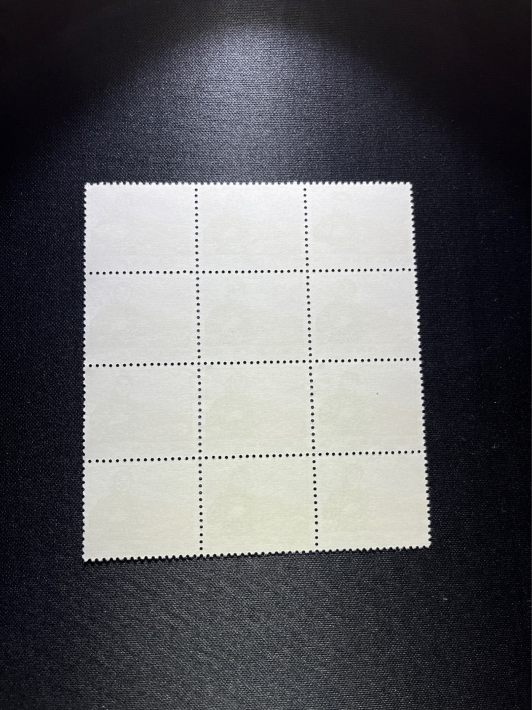 洪涛臻品 精选邮票限时拍卖第二十五期 普无号  10分解放军  3*4  12连一组，版撕全品，大块更漂亮，文革唯一一套普票，有较高的收藏价值，可单枚玩，可成套玩。全品可评级