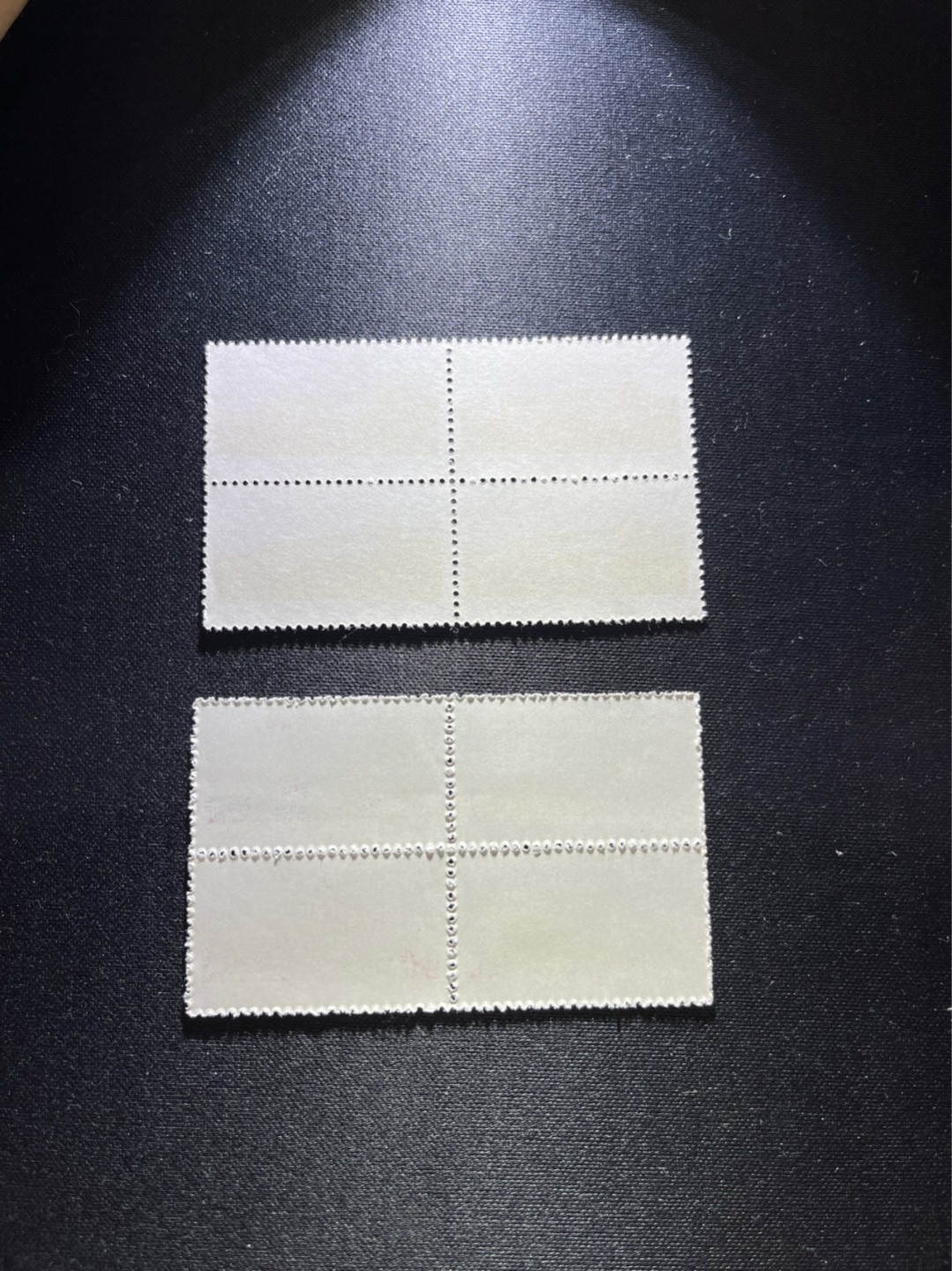 洪涛臻品 精选邮票限时拍卖第二十五期 文14长江大桥  4分 +10分新  方连一对，版撕全品嘎嘎绝，收藏级品相，全品可评级，喜欢不要错过
