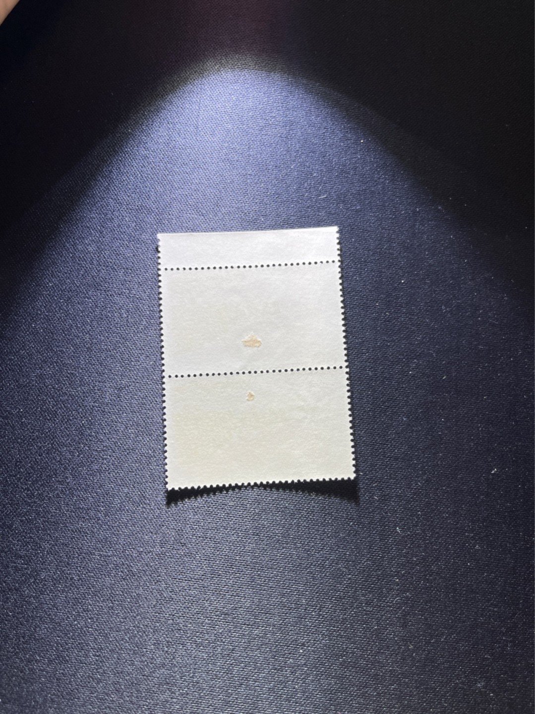 洪涛臻品 精选邮票限时拍卖第二十五期 纪104 2-2无产阶级联合盖销   左上直角边，2连一组，色标，版撕全品  背面轻微粘帖印，容易处理，老纪特经典票，新票价格高，盖销更受欢迎，注意捡漏
