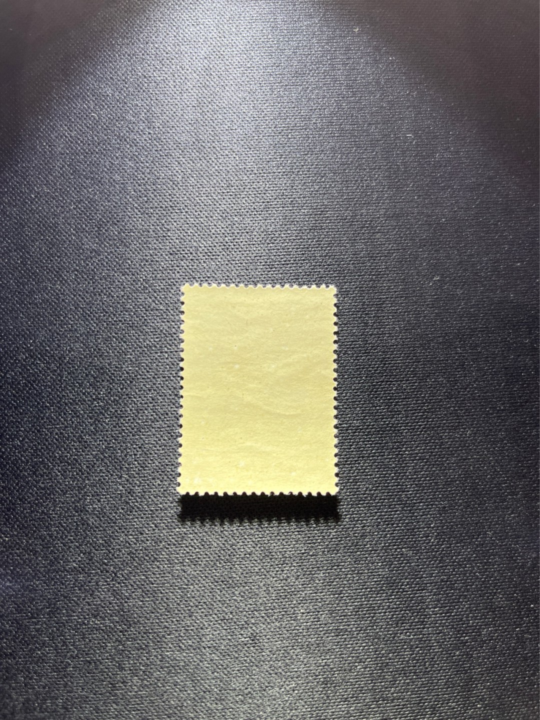 洪涛臻品 精选邮票限时拍卖第二十五期 纪91鲁迅盖一套，上品