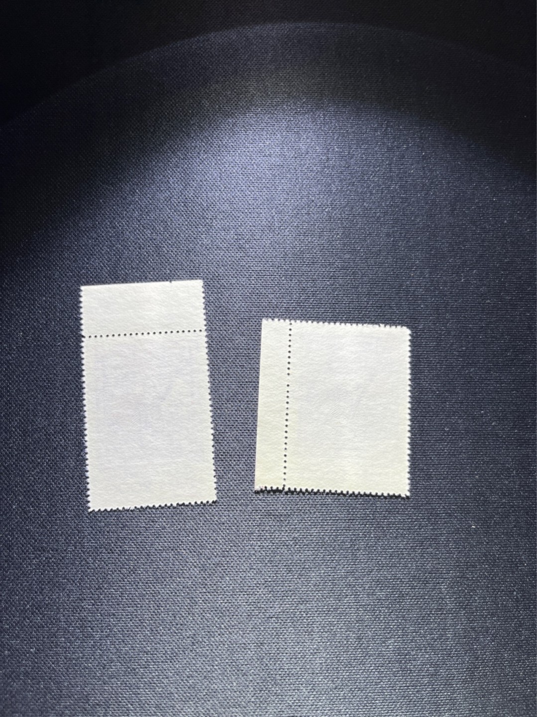 洪涛臻品 精选邮票限时拍卖第二十五期 纪26列宁新 总筋3-2 带边纸2枚  版撕全品嘎嘎绝，收藏级品相★总筋一枚几乎等于一套票★老纪特经典票，ASG90分一套价格1500元左右，博分首选，收藏或评级必须选版撕票，注意捡漏