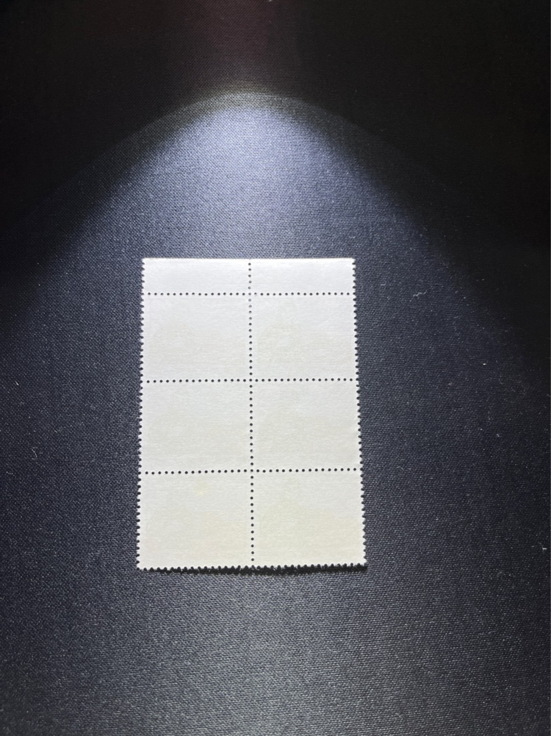 洪涛臻品 精选邮票限时拍卖第二十五期 普无号  10分解放军  竖6连，色线一组，版撕全品，文革唯一一套普票，有较高的收藏价值，可单枚玩，可成套玩。可评级