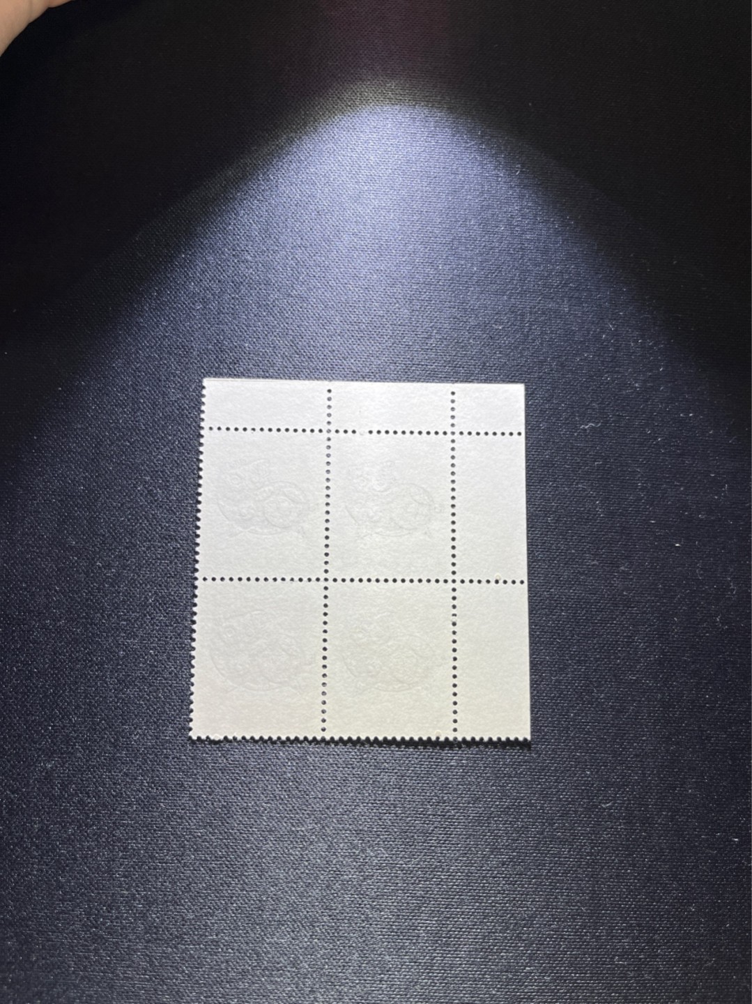 洪涛臻品 精选邮票限时拍卖第二十五期 T80生肖猪 方连一组  版撕全品嘎嘎绝，齿孔饱满，背面雪白，带硅胶手套撕版没有触痕，可评级。版撕红猪数量有限，注意捡漏