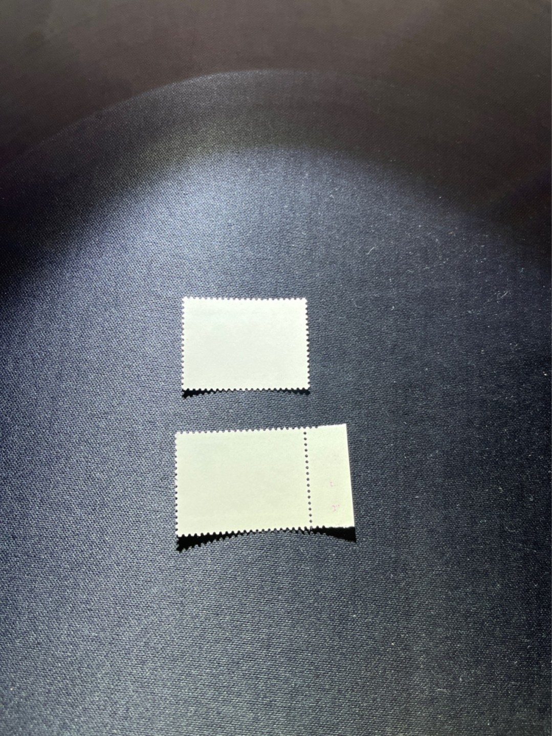 洪涛臻品 精选邮票限时拍卖第二十五期 编号熊猫N59  2枚，1枚数字边，版撕全品嘎嘎绝，背面雪白无瑕疵，不是某涌所谓的全品可以比的，全品可评级，注意捡漏