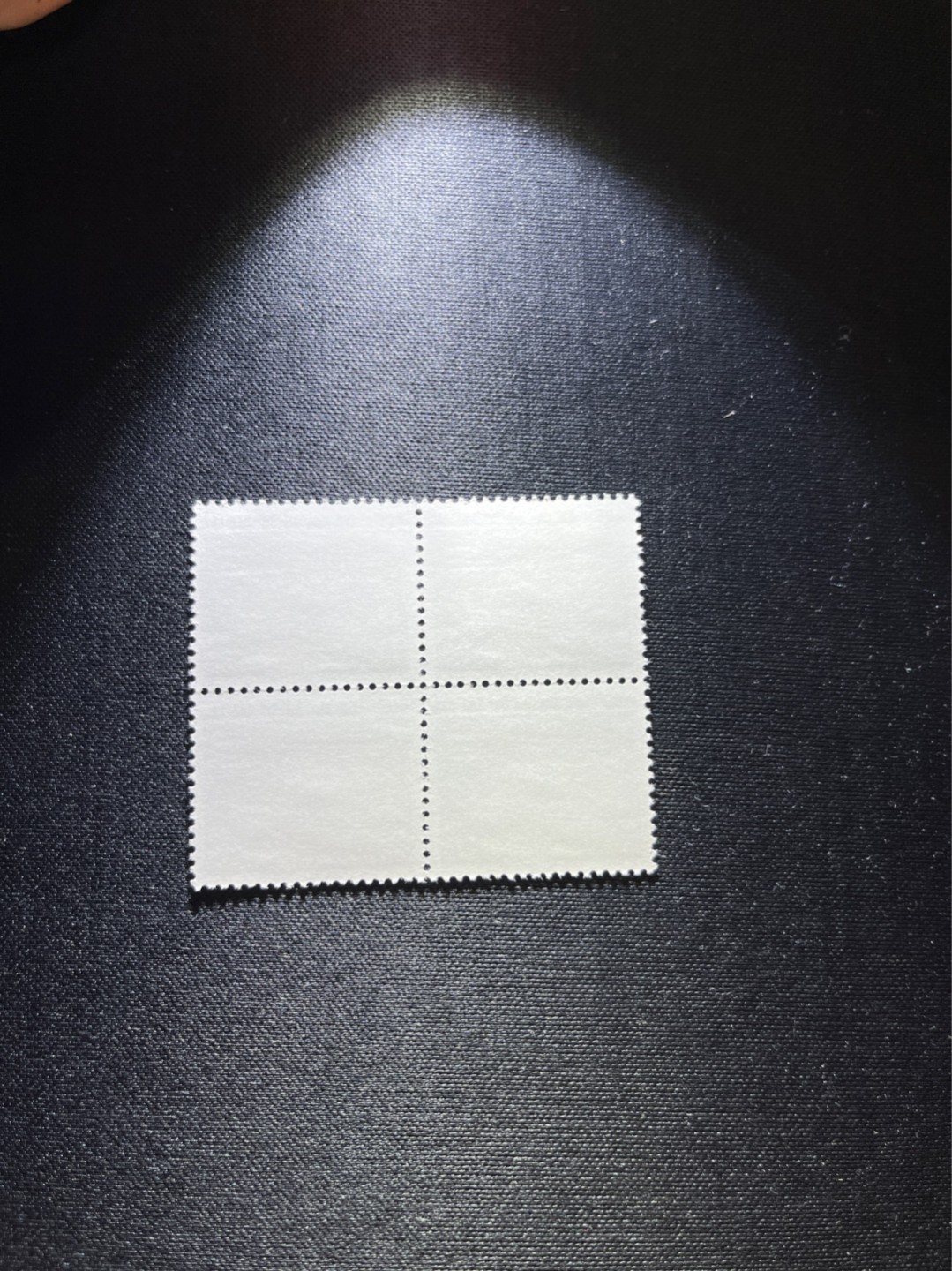 洪涛臻品 精选邮票限时拍卖第二十五期 普无号  50分枣园   4方连一组，版撕全品，文革唯一一套普票，有较高的收藏价值，可单枚玩，可成套玩。可评级