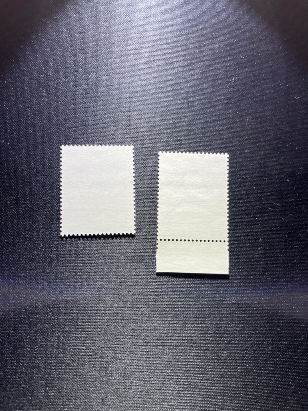 洪涛臻品 精选邮票限时拍卖第二十五期 T50风筝 4-1  4-2  2枚新  版撕全品嘎嘎绝，背面雪白，不是某涌所谓的全品可以比的，经典小票，单枚也非常漂亮，喜欢不要错过