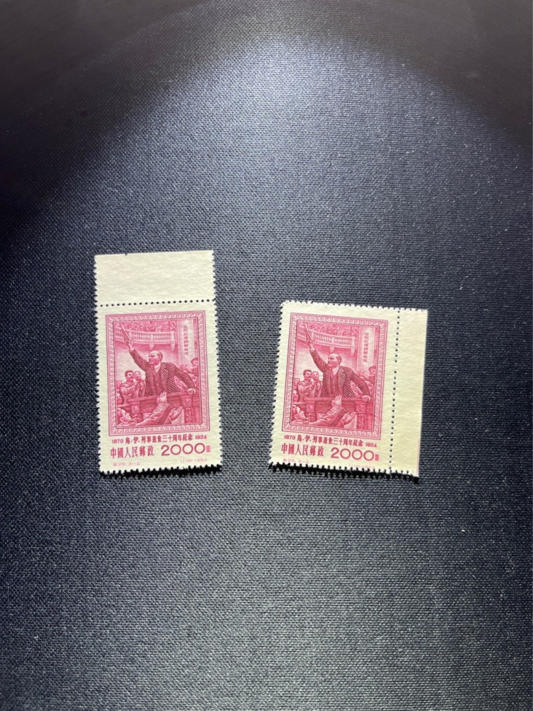 洪涛臻品 精选邮票限时拍卖第二十五期 纪26列宁新 总筋3-2 带边纸2枚  版撕全品嘎嘎绝，收藏级品相★总筋一枚几乎等于一套票★老纪特经典票，ASG90分一套价格1500元左右，博分首选，收藏或评级必须选版撕票，注意捡漏