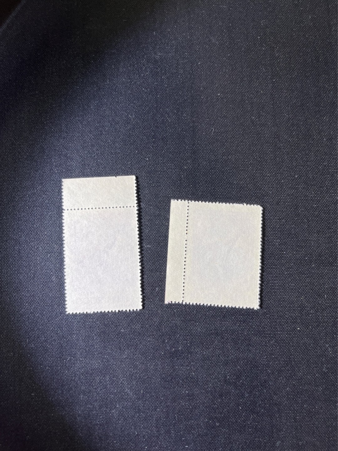 洪涛臻品 精选邮票限时拍卖第二十五期 纪26列宁新 总筋3-2 带边纸2枚  版撕全品嘎嘎绝，收藏级品相★总筋一枚几乎等于一套票★老纪特经典票，ASG90分一套价格1500元左右，博分首选，收藏或评级必须选版撕票，注意捡漏