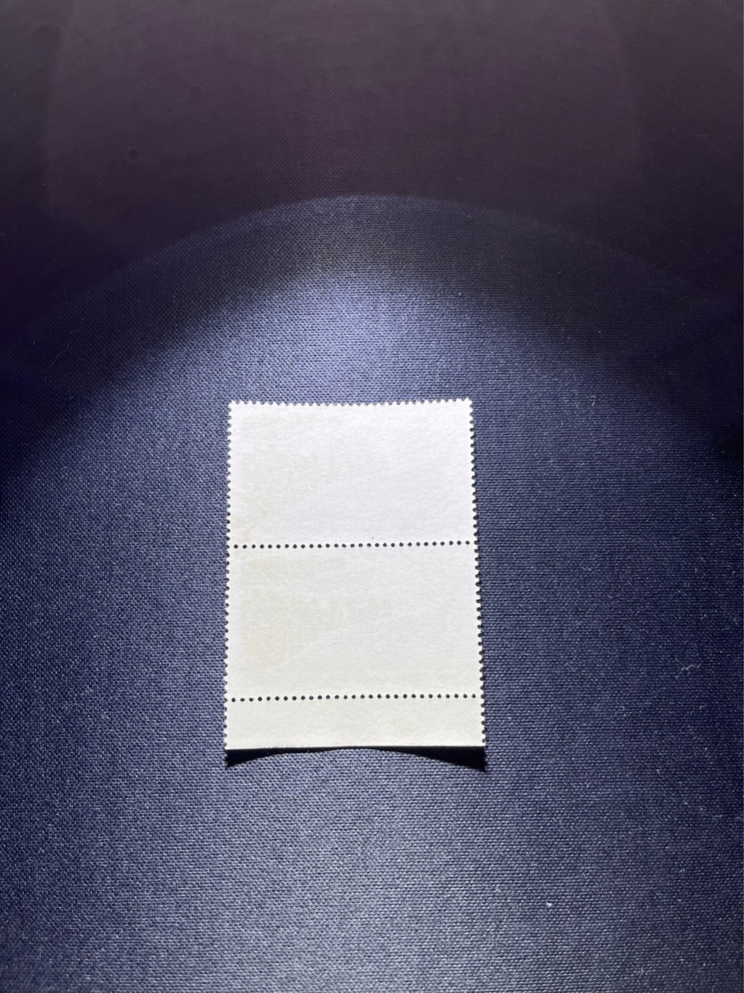 洪涛臻品 精选邮票限时拍卖第二十五期 纪104 2-2无产阶级联合盖销   下边，2连一组，版撕全品  老纪特经典票，新票价格高，盖销更受欢迎，全品可评级