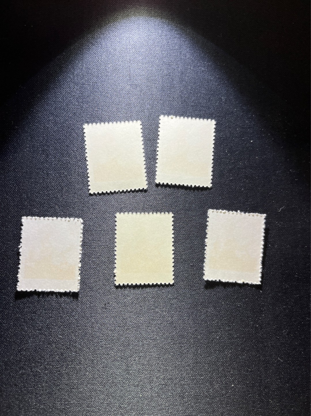 洪涛臻品 精选邮票限时拍卖第二十五期 普无号  5分女拖拉机手  5枚一组，版撕全品，文革唯一一套普票，有较高的收藏价值，可单枚玩，可成套玩。可评级