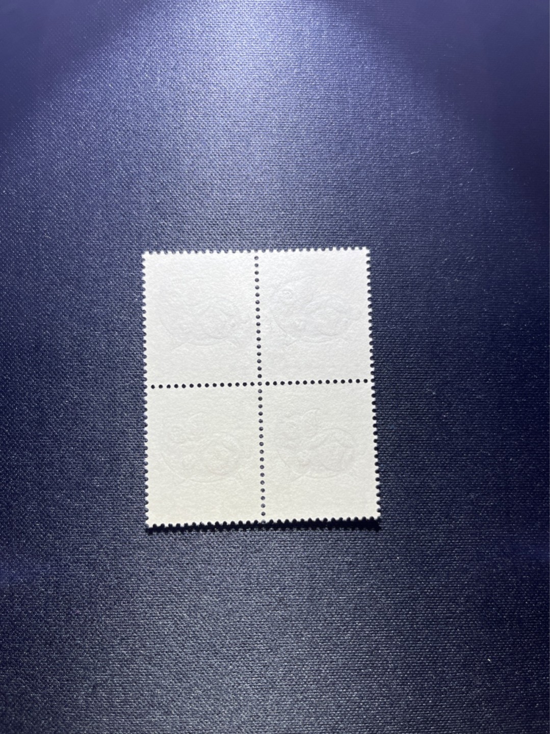 洪涛臻品 精选邮票限时拍卖第二十九期 T80生肖猪 方连一组  版撕全品嘎嘎绝，齿孔饱满，背面雪白，带硅胶手套撕版没有触痕，可评级。版撕红猪数量有限，注意捡漏
