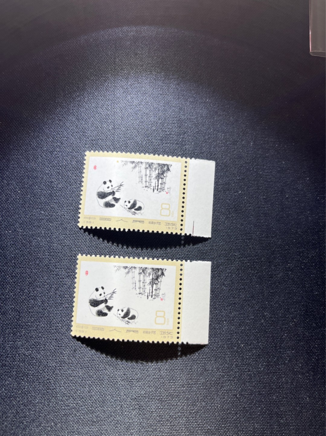 洪涛臻品 精选邮票限时拍卖第二十六期 编号熊猫N59  2枚，版撕全品嘎嘎绝，背面雪白无瑕疵，不是某涌所谓的全品可以比的，全品可评级，注意捡漏