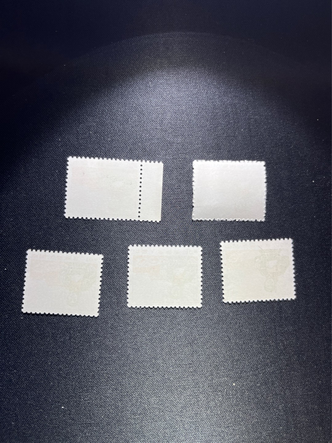 洪涛臻品 精选邮票限时拍卖第二十六期 普无号  10分解放军，5枚一组，收藏级品相一组，版撕嘎嘎绝，正红背白，集邮册中必不可少的一组，版撕精品小票，多多益善，价值洼地，全品可评级，所有拍品包过灯，注意捡漏