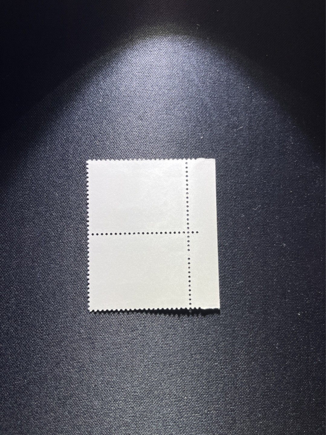 洪涛臻品 精选邮票限时拍卖第二十六期 文17  10分  厂名，数字2连一组，全品，三俗稀缺，喜欢不要错过